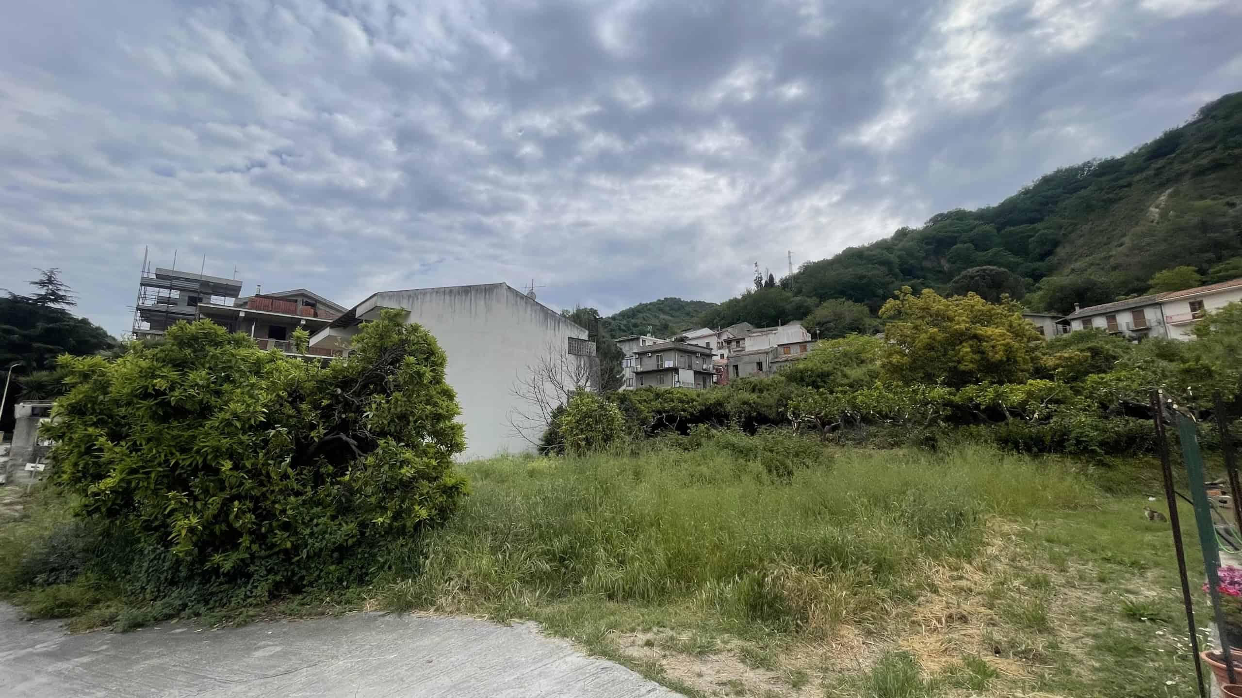 Ampia area verde con alberi e cespugli, situata ai piedi di una collina con case e edifici residenziali, sotto un cielo nuvoloso, in un contesto di natura e sviluppo urbano.
