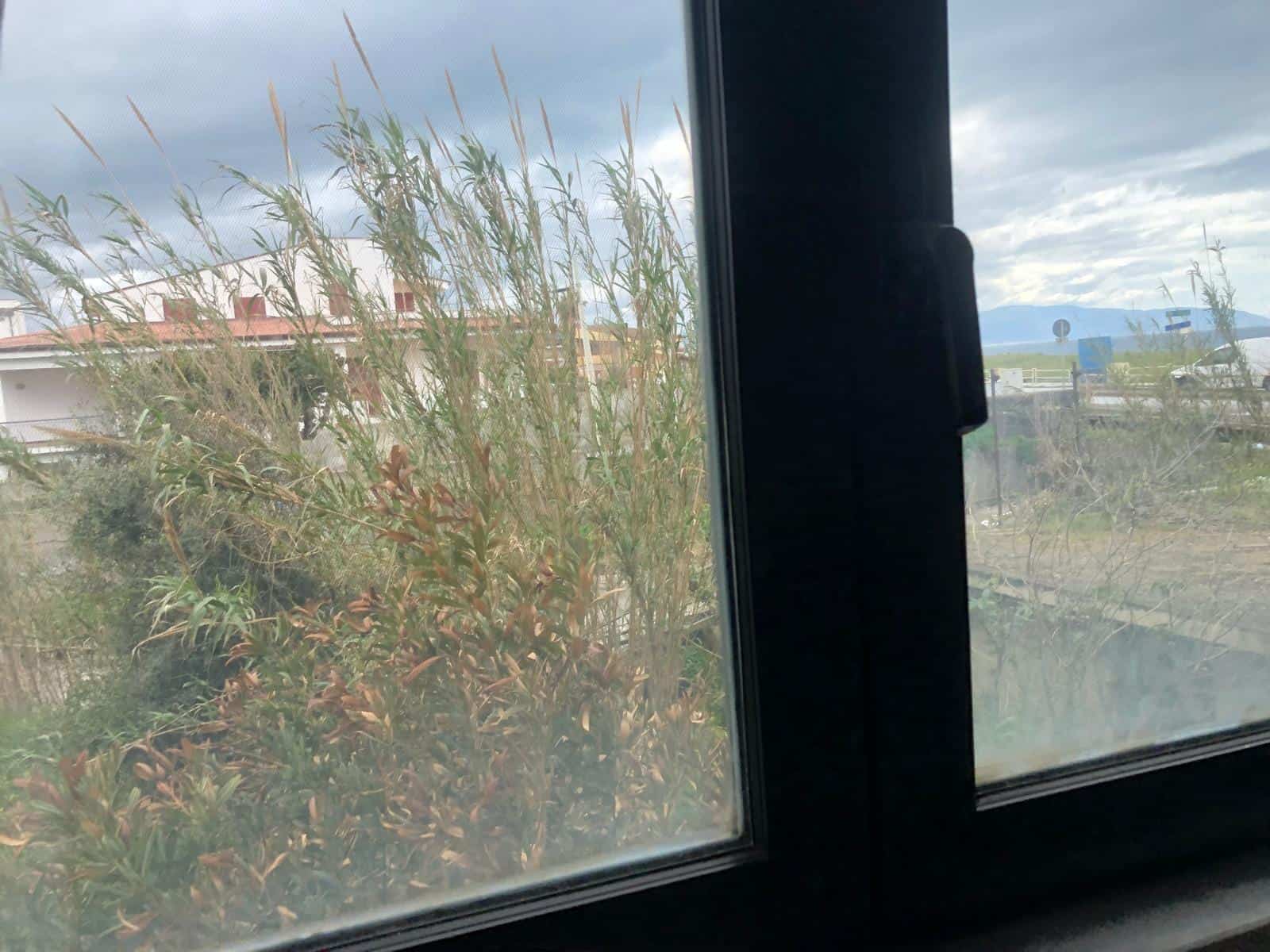 Vista panoramica su giardino e cielo nuvoloso attraverso grandi finestre in una casa moderna.