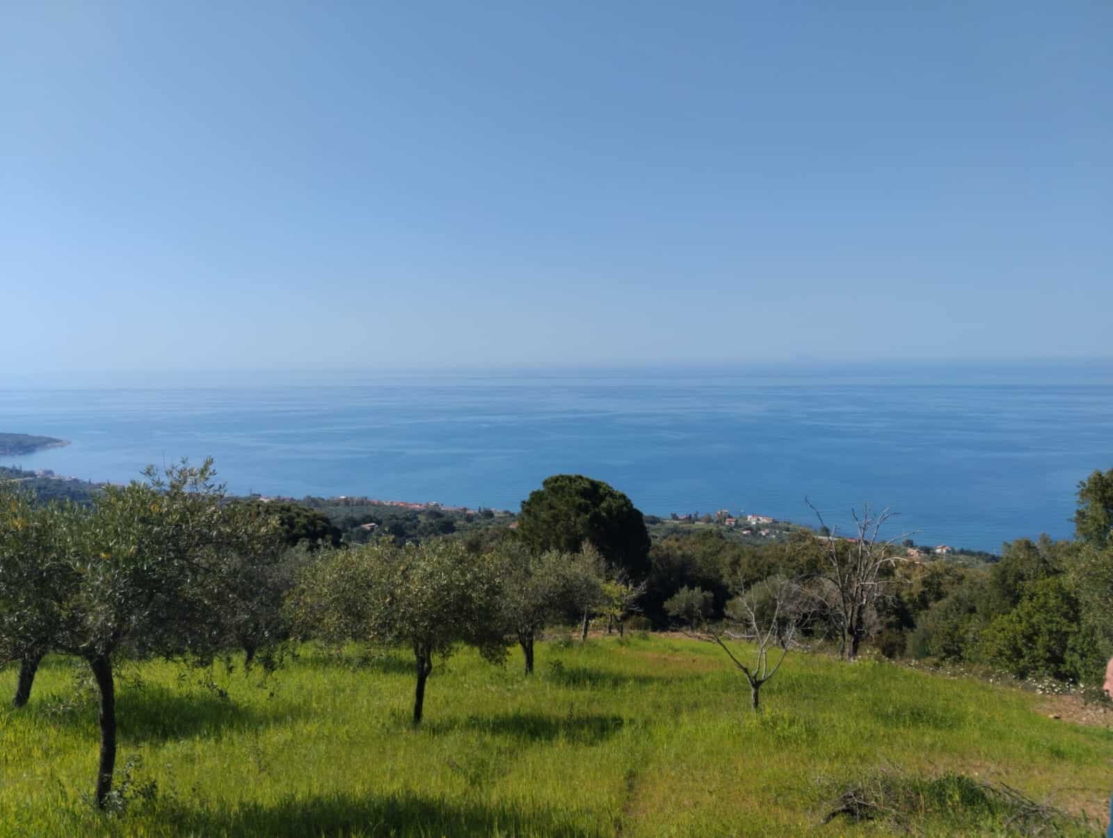 VISTA PANORAMICA DEL MARE E DELLA CAMPAGNA CON ALBERI E PRATO VERDE, PAESAGGIO NATURALE E SERENO, IDEALE PER IMMOBILI O RESIDENZE VICINO AL MARE IN ITALIA.