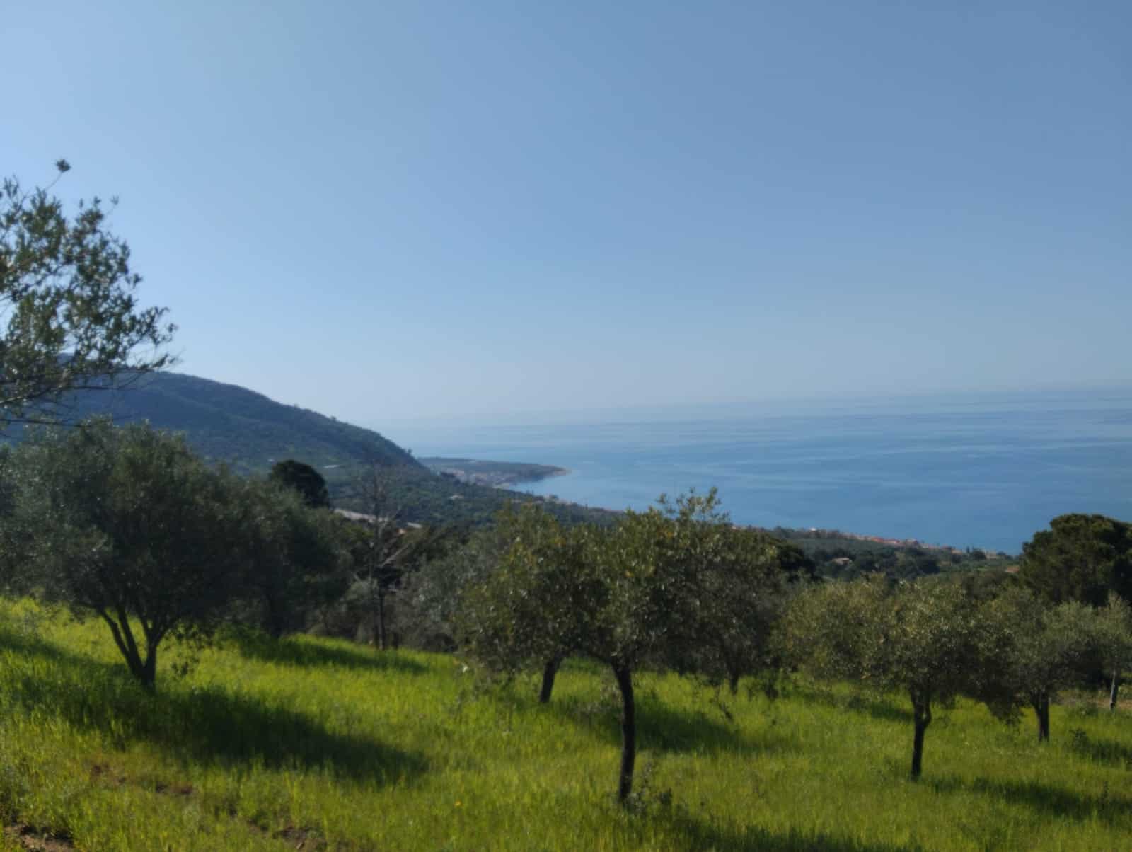 VISTA PANORAMICA DI UN PAESAGGIO COSTIERO CON ALBERI E MARE, paesaggio naturale e tranquillo, ideale per case vacanza o residenziali vicino al mare, in Italia.