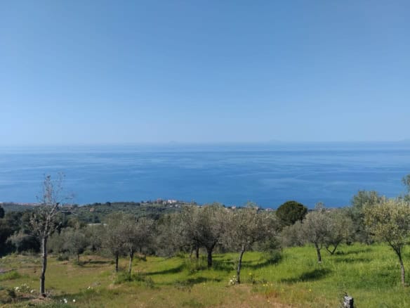 Vero, panoramica vista mare con oliveti e vegetazione mediterranea, perfetta per case vacanza o residenziali vicino al mare. Ambiente tranquillo e naturale, ideale per chi cerca relax e contatto con l.