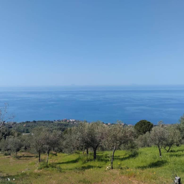 Vero, panoramica vista mare con oliveti e vegetazione mediterranea, perfetta per case vacanza o residenziali vicino al mare. Ambiente tranquillo e naturale, ideale per chi cerca relax e contatto con l.