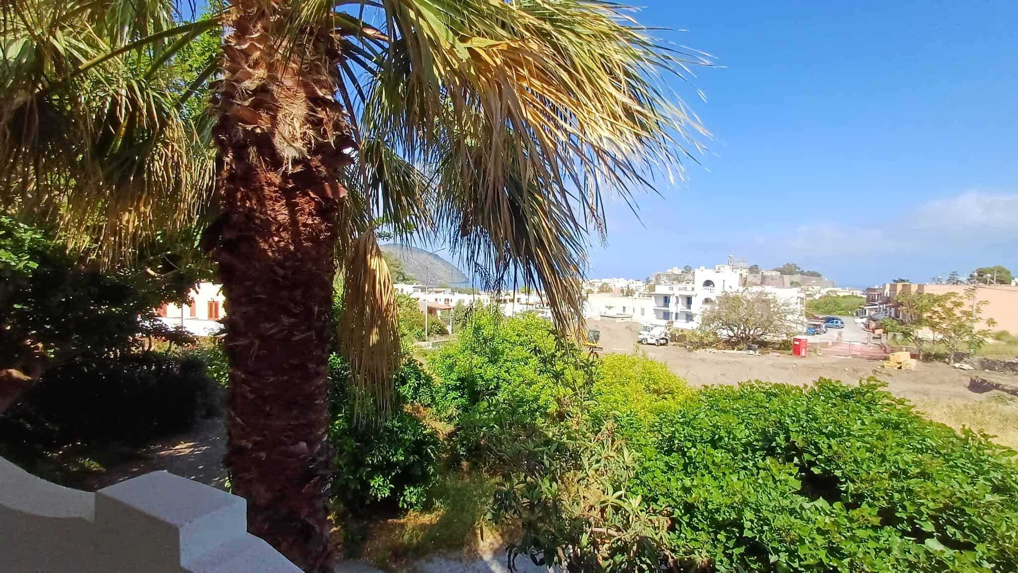 Vista panoramica di un giardino tropicale con palma, vegetazione rigogliosa e sfondo di edifici e cielo azzurro, ideale per immobili in vendita o affitto in località soleggiate.