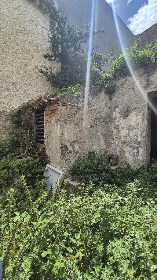 Parete esterna di un edificio abbandonato con vegetazione e luce solare, scenario di degrado e natura che si riprende lo spazio.