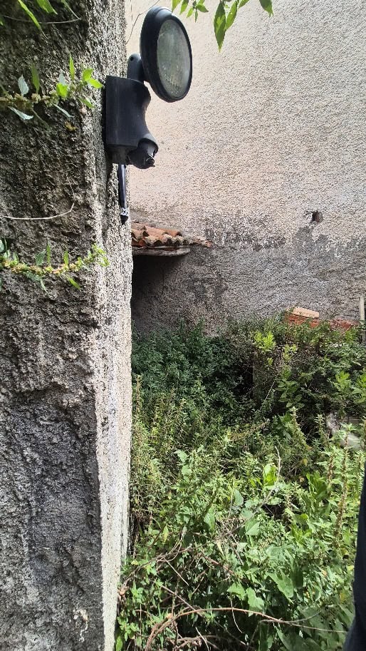 Lampada da esterno nera installata su un muro di cemento, con vegetazione verde e parete beige sullo sfondo, in un ambiente esterno.