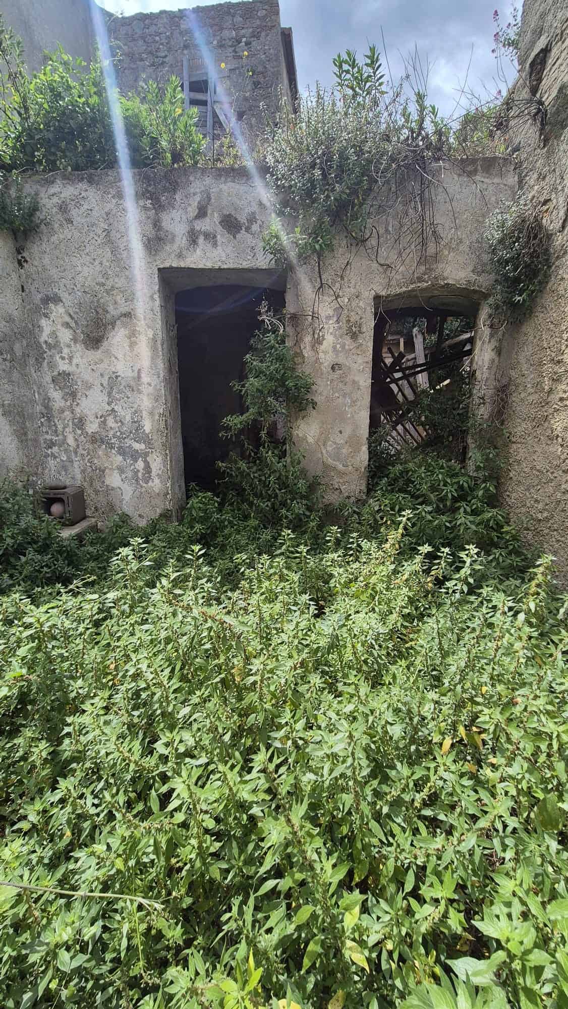 Vecchio edificio abbandonato con pareti in pietra e vegetazione rigogliosa, ideale per progetti di ristrutturazione e recupero immobiliare.