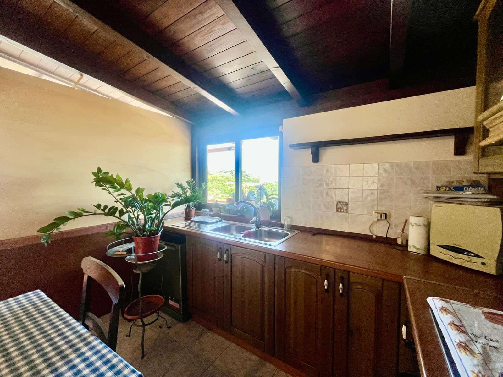 Lavandino e cucina in stile rustico con mobili in legno, piante verdi e vista sulla natura attraverso la finestra, in un ambiente accogliente e luminoso.