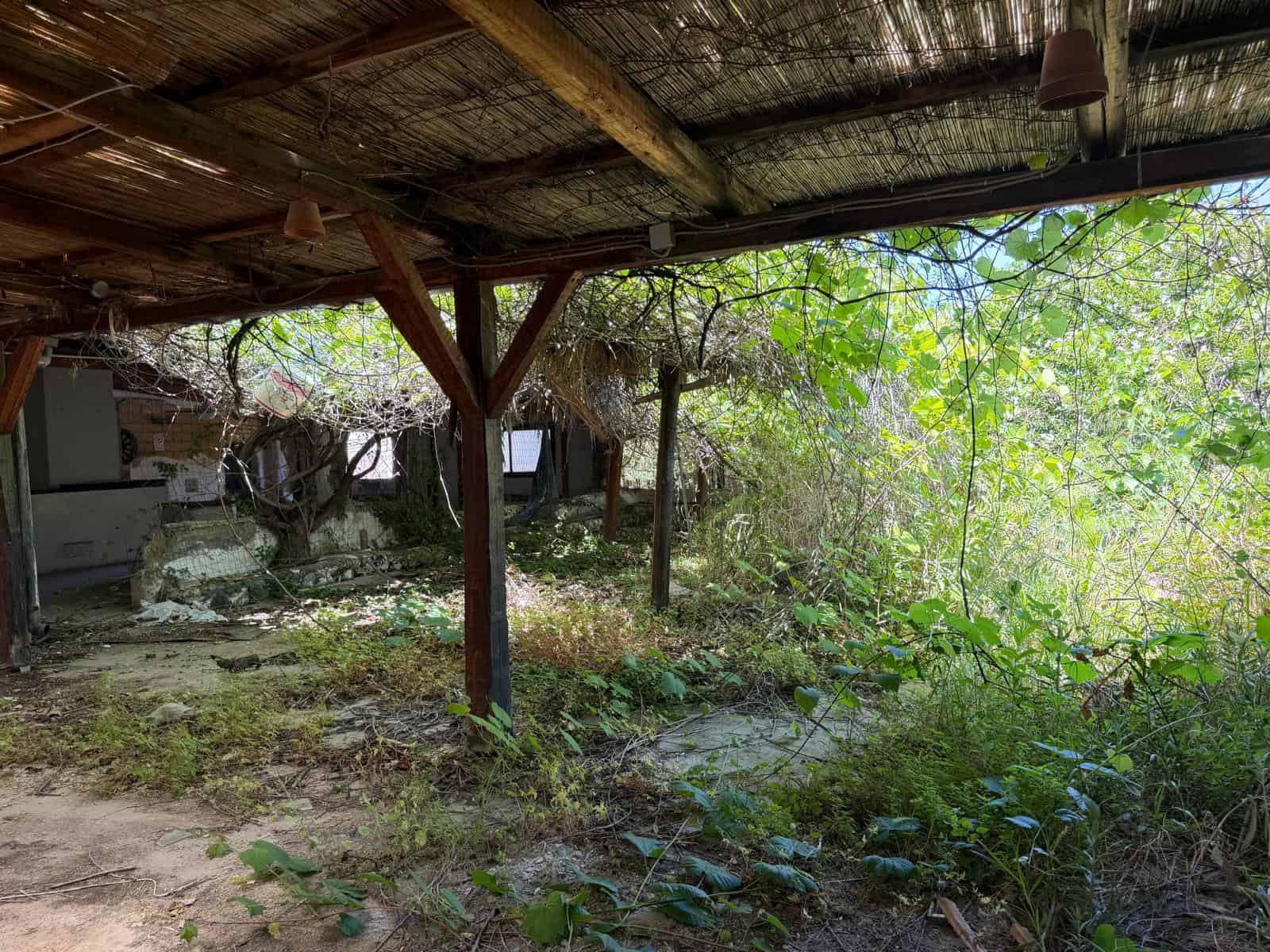 Un tetto di legno e paglia che copre un'area esterna abbandonata con vegetazione selvaggia e piante cresciute liberamente, in un ambiente naturale e trascurato.