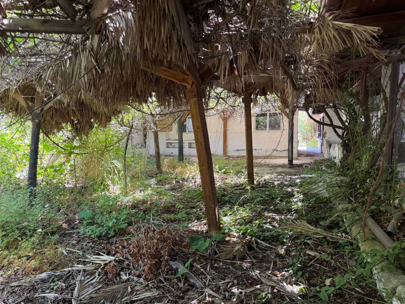 Pannello di tetto di paglia e vegetazione rigogliosa in un giardino naturale, ambiente esterno rustico e tranquillo, ideale per relax e momenti di convivialità all'aperto.