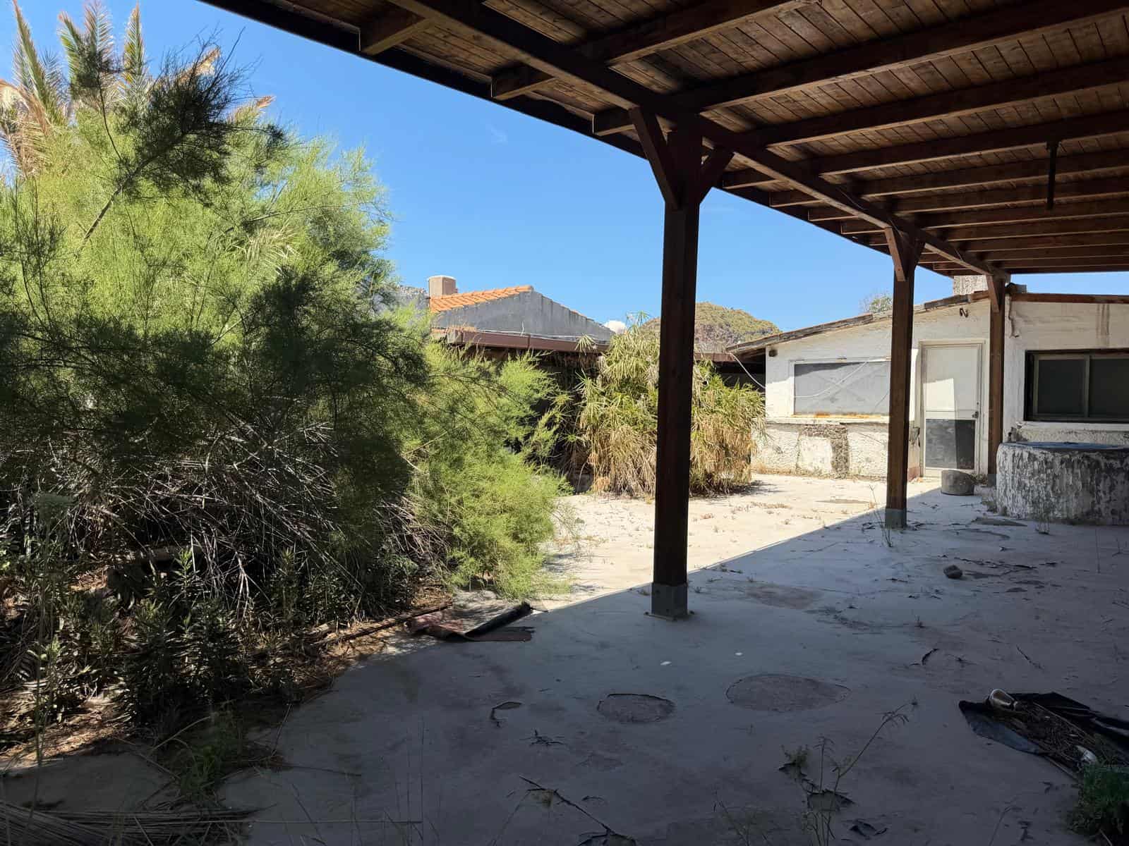 Spazio esterno abbandonato con veranda in legno, piante selvatiche e pavimento in cemento, in un'area residenziale con case vicine, ambiente trascurato e naturale.