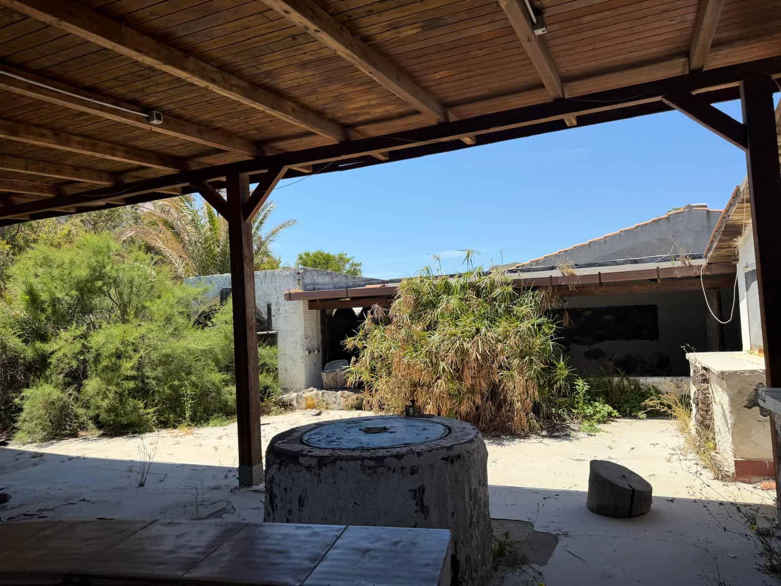 Aggiungi un'area coperta in stile rustico con travi in legno, circondata da vegetazione mediterranea, in un ambiente esterno soleggiato e tranquillo, ideale per relax e convivialità all'aperto.