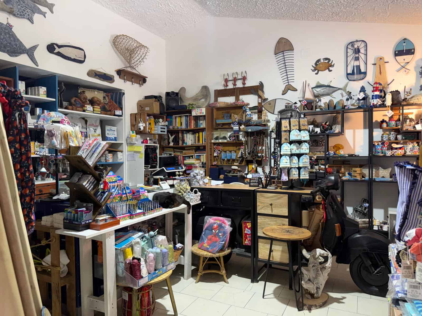Negozio di articoli da regalo e decorazioni con oggetti marittimi e vintage, scaffali pieni di souvenir, libri e decorazioni marine, atmosfera accogliente e colorata.