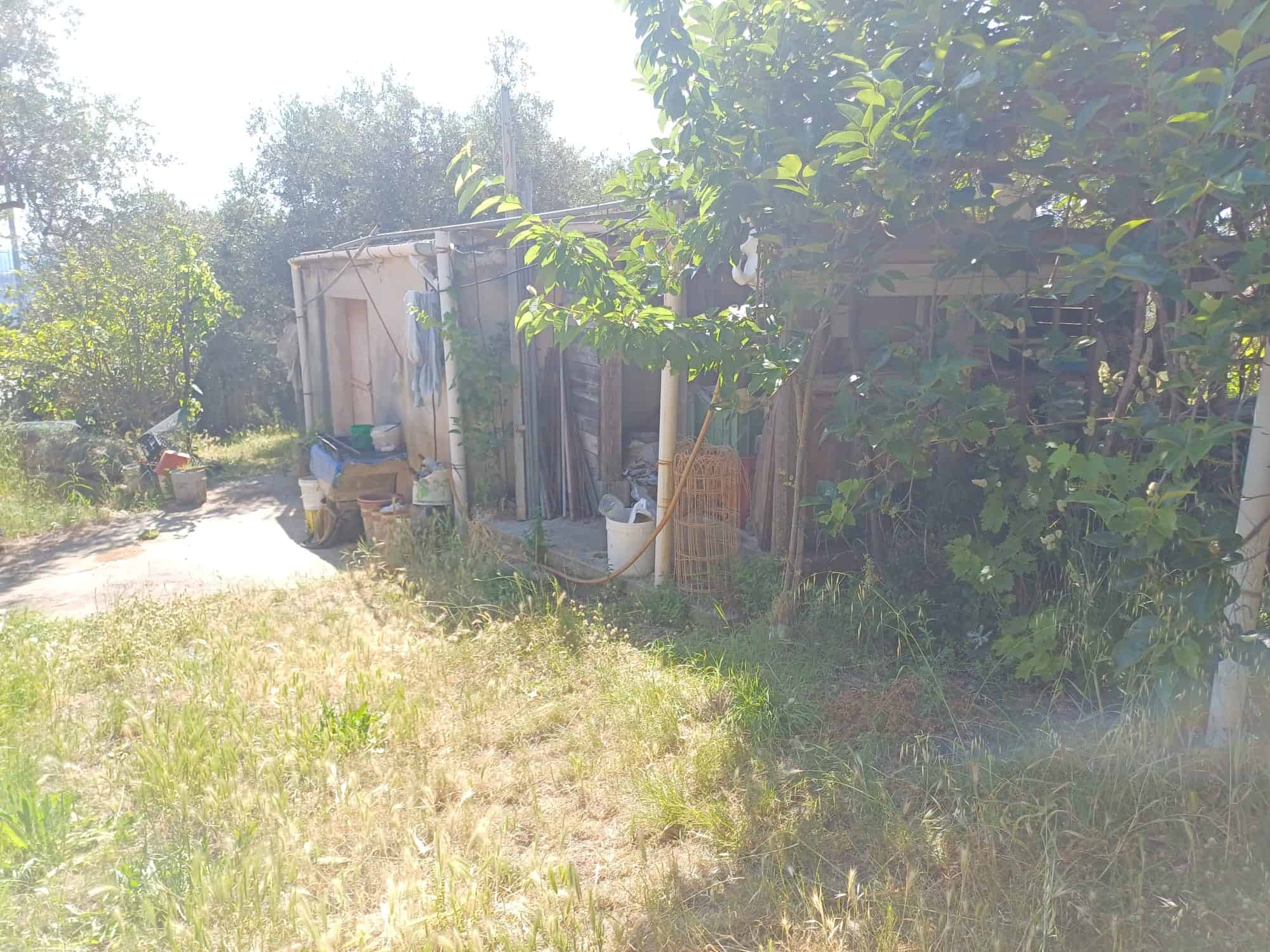 Primo piano di un giardino con casetta in legno, piante verdi e area di lavoro all'aperto, ideale per attività di giardinaggio e relax all'aperto. Spazio esterno ben curato e funzionale.