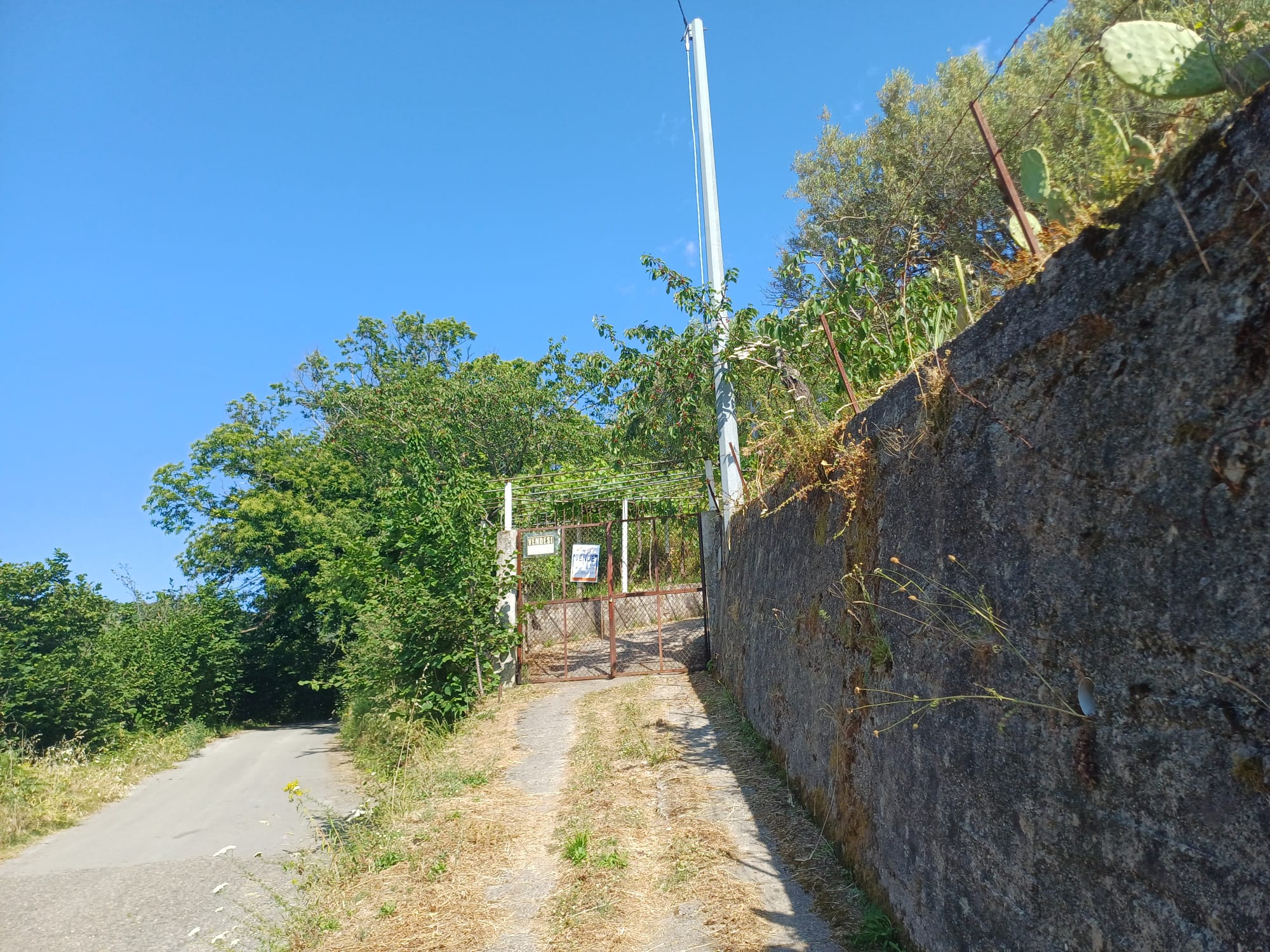 Ampia strada sterrata che sale tra vegetazione verde e alberi, con una recinzione in legno e un cancello in metallo all'ingresso, sotto un cielo azzurro e soleggiato, in un'area rurale o collinare.