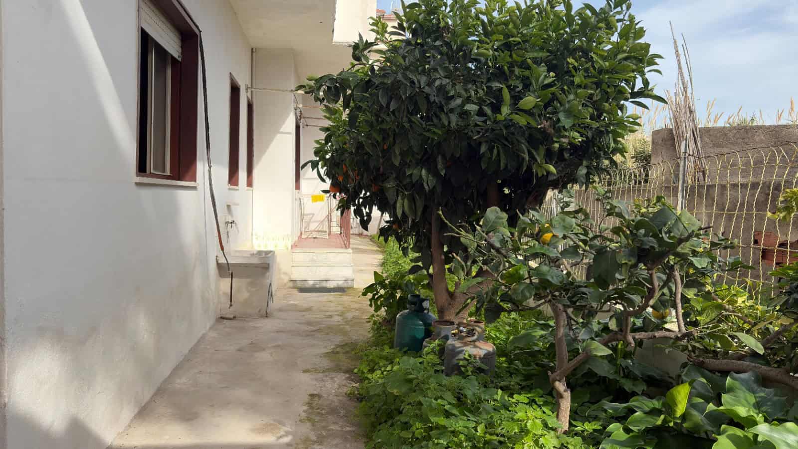 Piantina di un cortile esterno con piante e alberi, vicino a una casa con pareti bianche e finestre, in un ambiente residenziale tranquillo e ben curato.