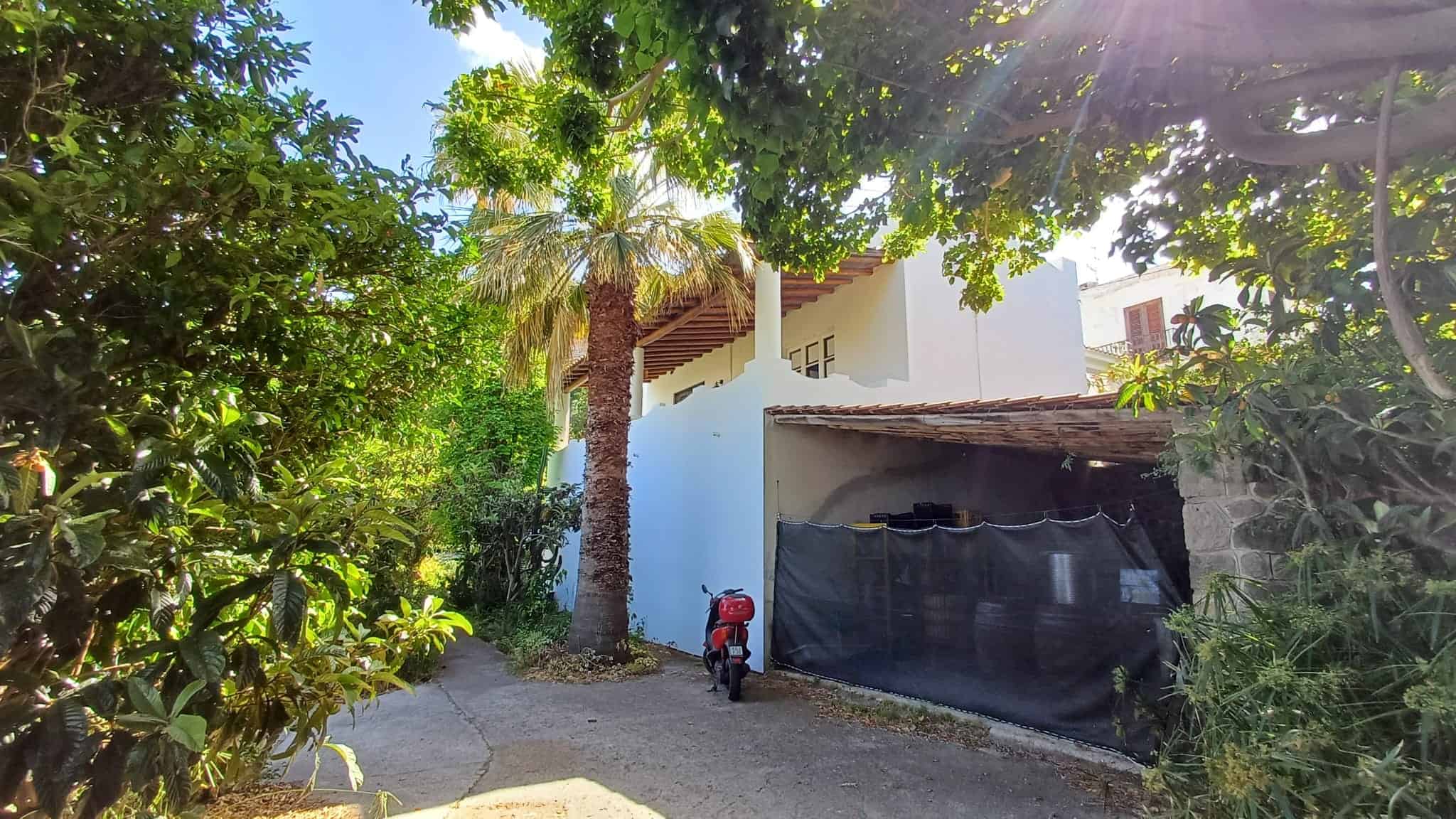 Ampia vista di una casa immersa nel verde con alberi e piante, luce solare che filtra attraverso le foglie, ambiente tranquillo e naturale, ideale per chi cerca una residenza immersa nella natura.