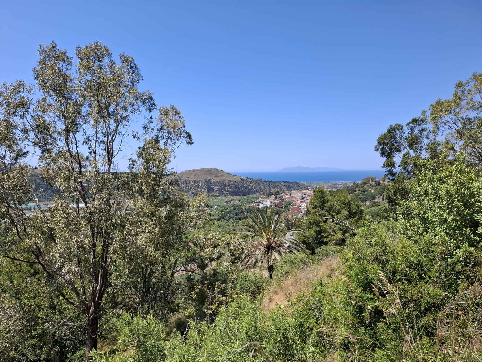 Paesaggio naturale con alberi, vegetazione e vista sul mare in lontananza sotto un cielo sereno, ideale per immobili e terreni in vendita.