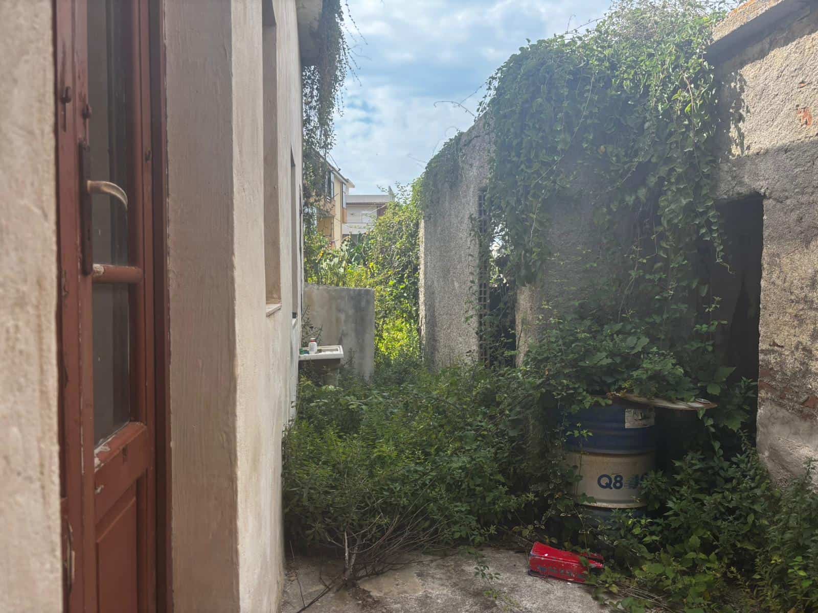 Cortile interno con piante e vegetazione, spazio esterno di case in stile rustico, ambiente naturale e tranquillo.