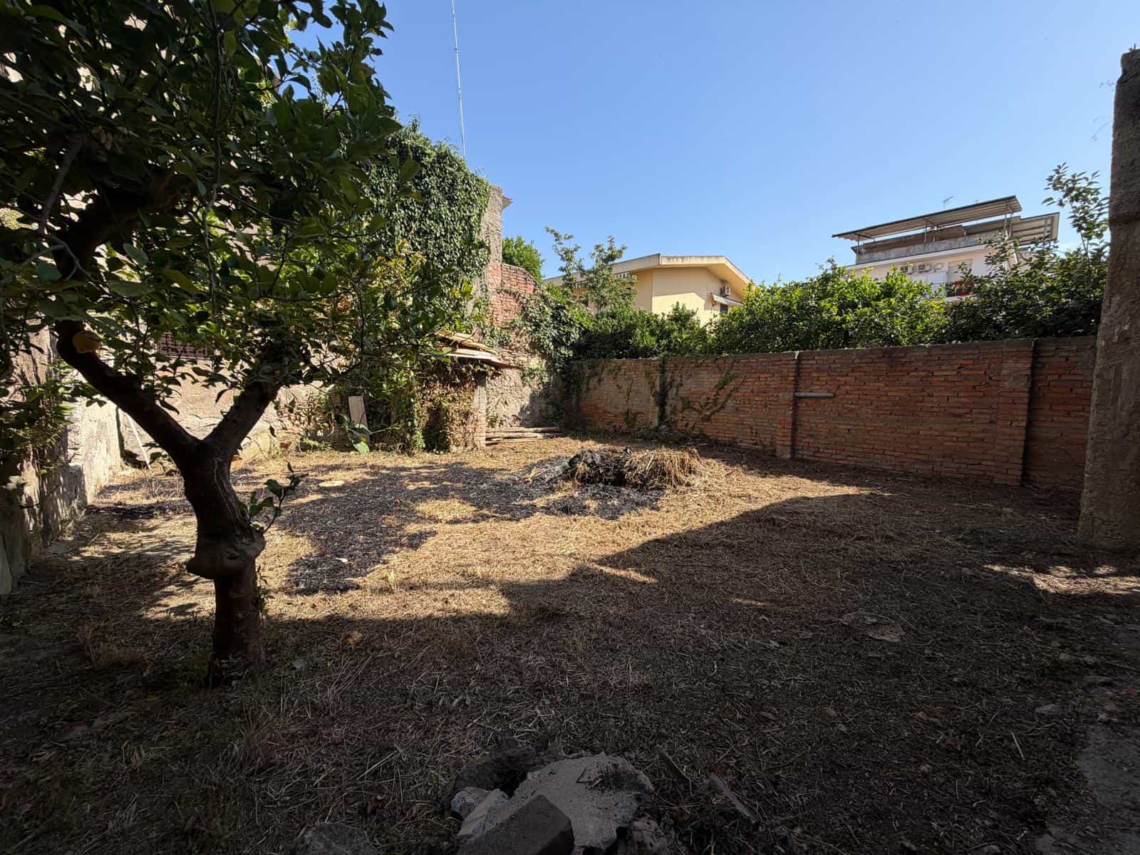 Giardino di una casa indipendente con alberi e muro di mattoni, spazio esterno tranquillo e ben curato.
