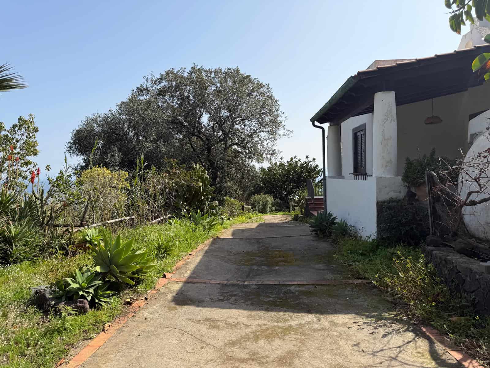 Strada di accesso a una casa di campagna con giardino verde e alberi, sotto un cielo sereno, in un ambiente rurale tranquillo.