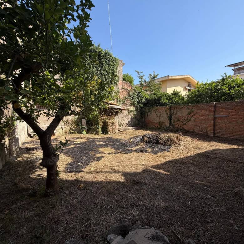Giardino di una casa indipendente con alberi e muro di mattoni, spazio esterno tranquillo e privato.