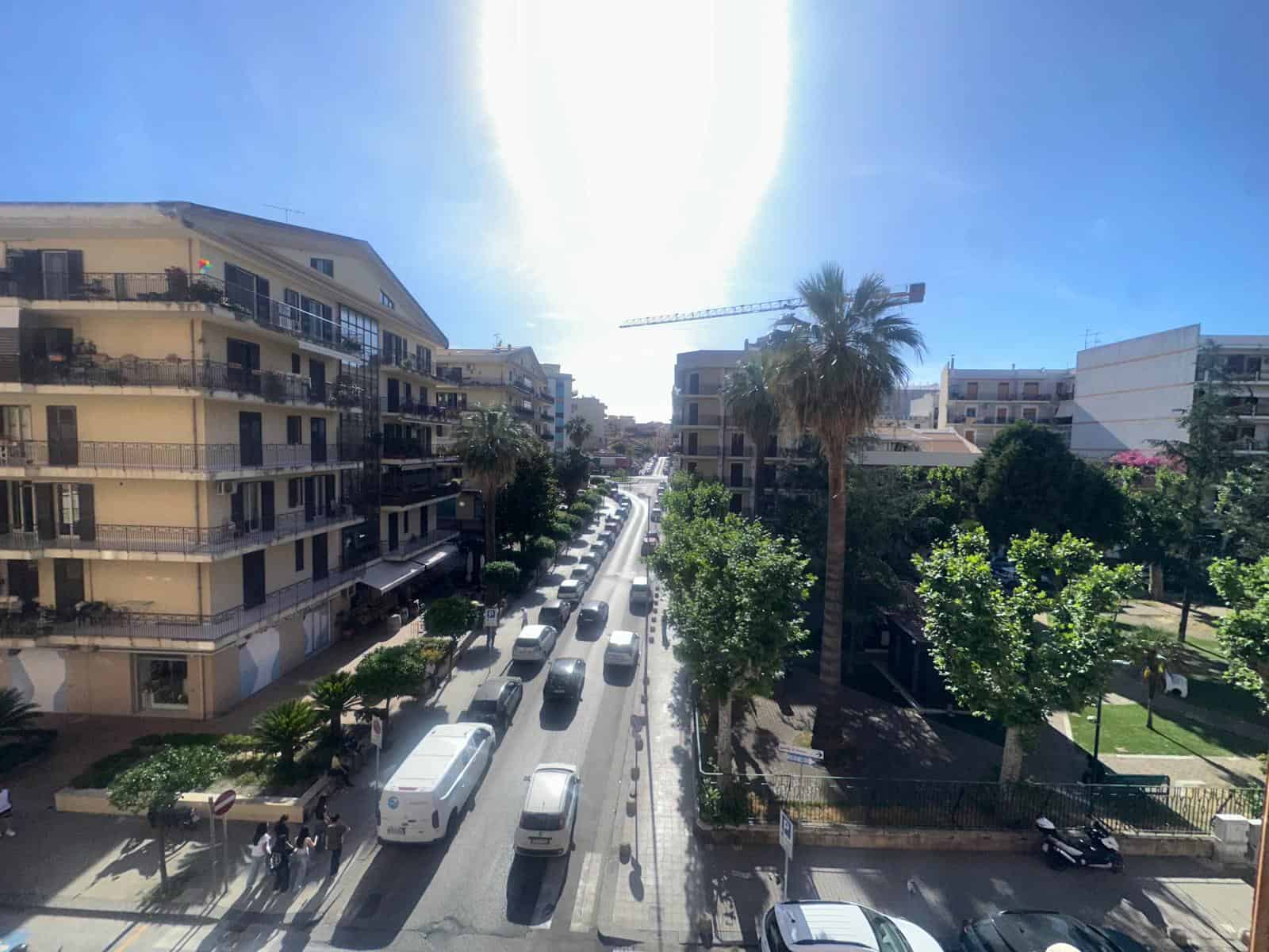 Viale trafficato con auto e autobus, alberi e palme lungo il marciapiede, edifici residenziali e negozi, cielo sereno, atmosfera cittadina vivace e moderna.