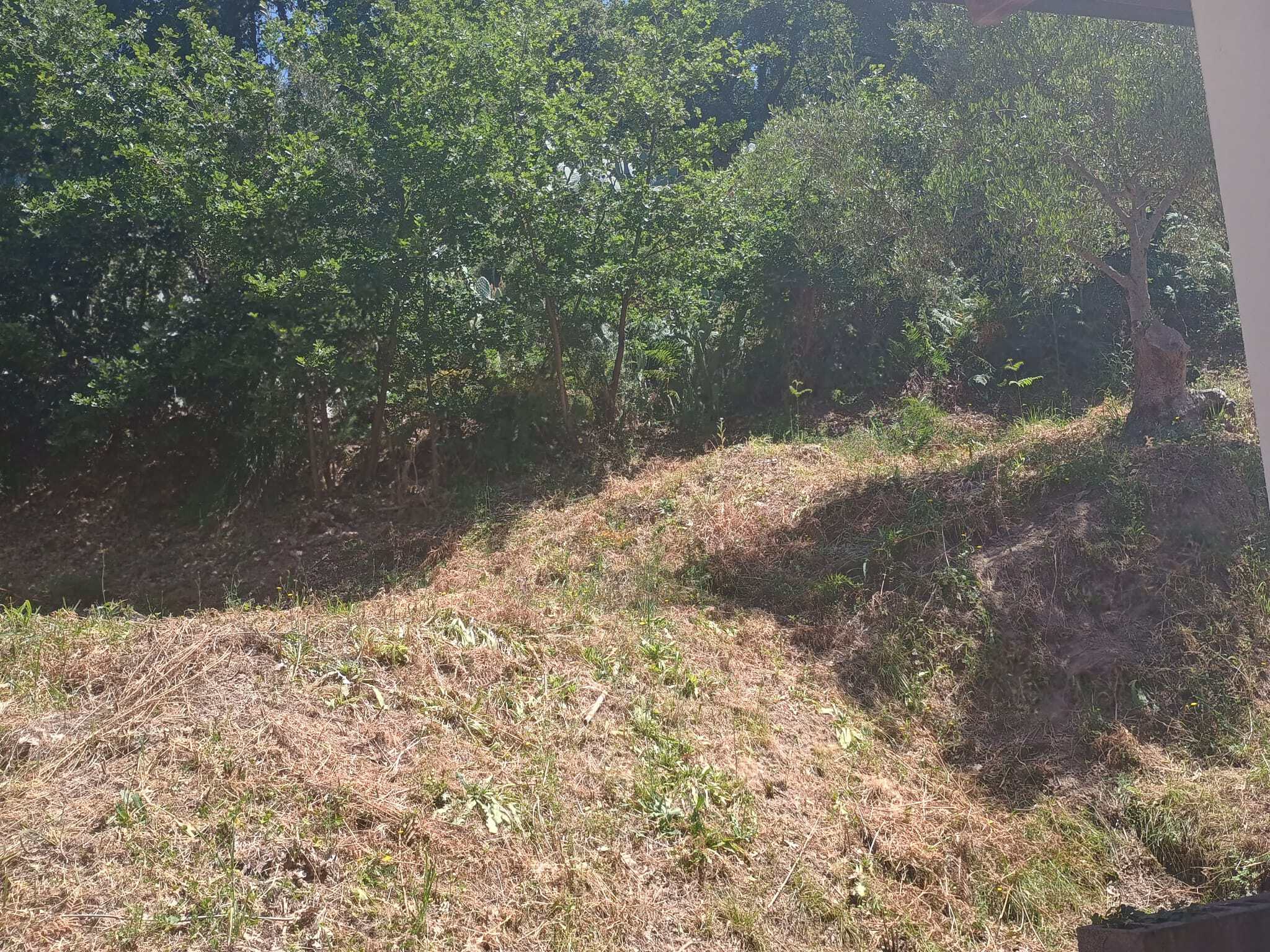 Terreno in collina con vegetazione naturale e pendenza, ideale per progetti di costruzione o investimento immobiliare in zona tranquilla e panoramica.