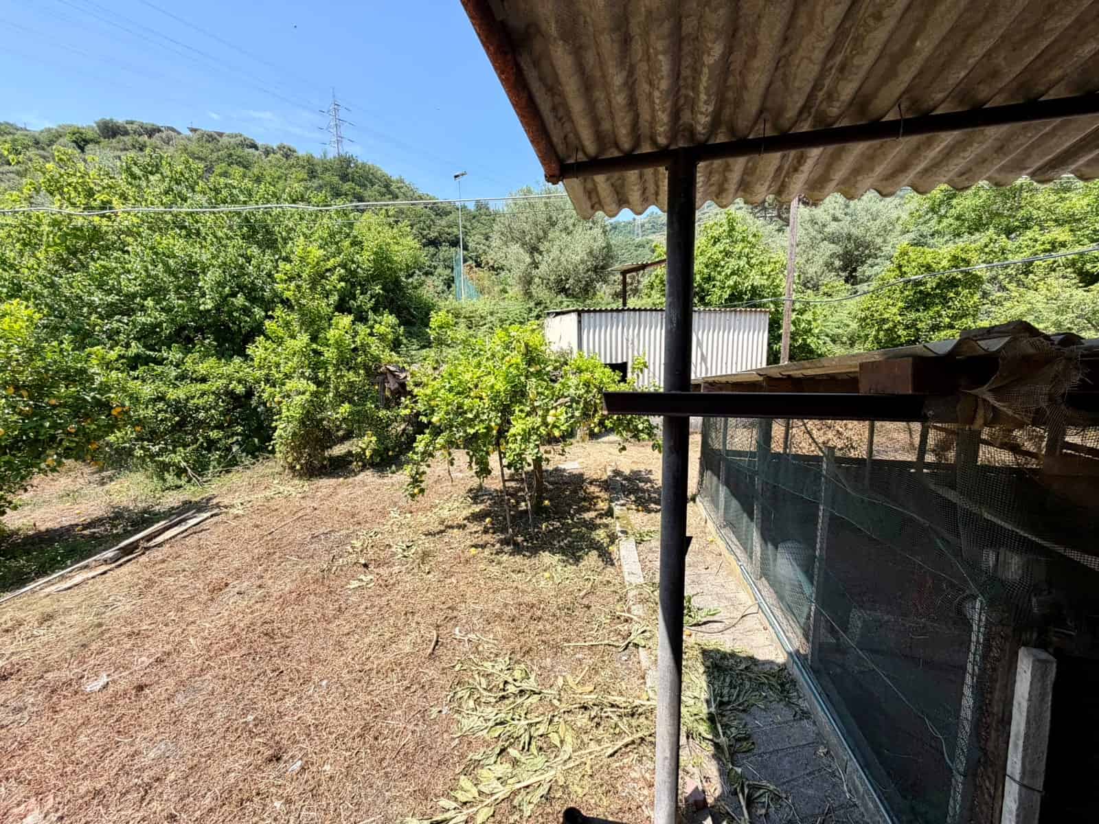 Ampio giardino con piante e alberi, vista da una veranda coperta in un ambiente rurale, ideale per relax e attività all'aperto, in una proprietà immobiliare di NextCasa.