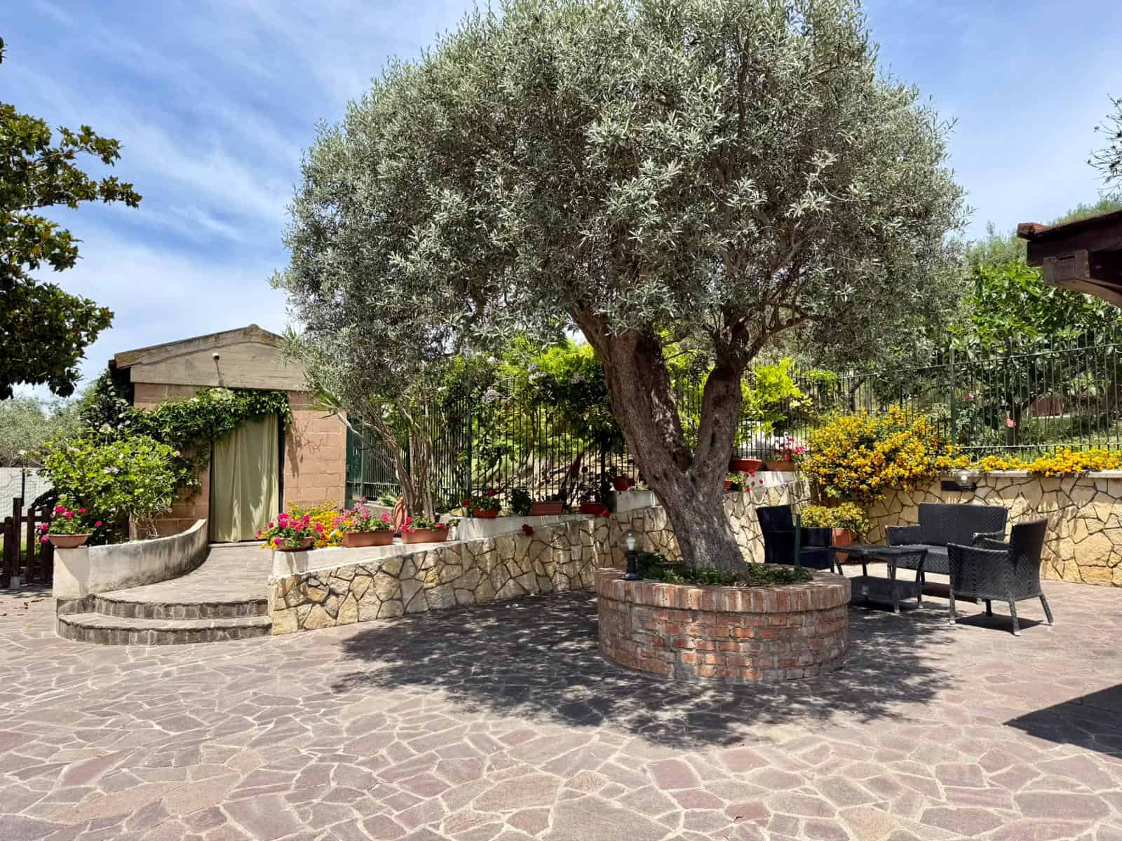 Giardino con grande albero di ulivo, panchine e fiori colorati, ambiente esterno tranquillo e accogliente.