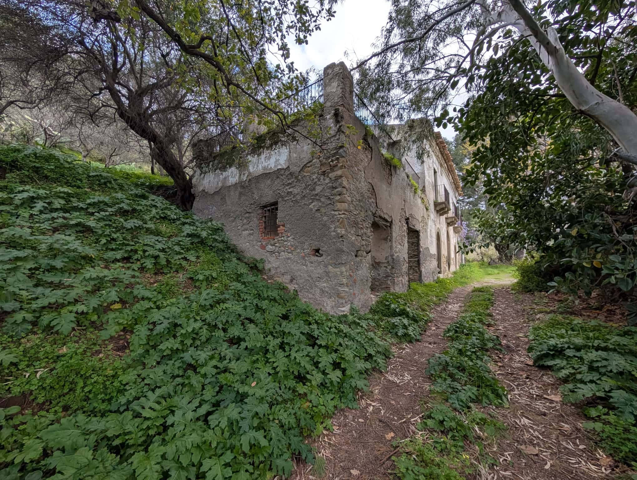 Rudere con terreno in vendita in via Casa Nuove Russo, Patti, Me, immerso nel verde e con accesso tramite un sentiero sterrato.