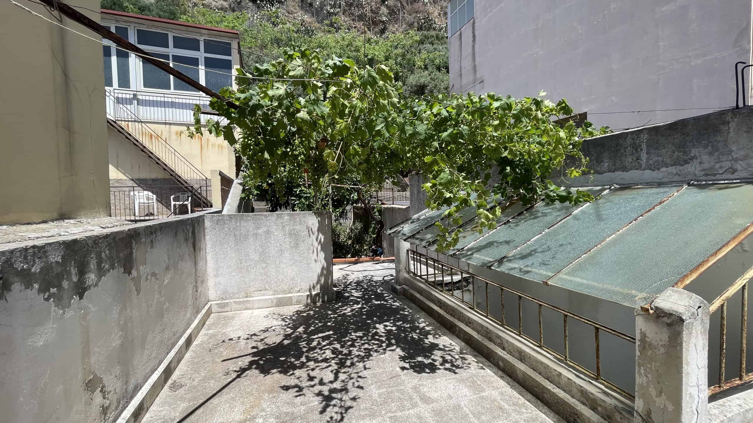Vigneto e terrazza soleggiata in zona residenziale con vista su edifici moderni e natura.