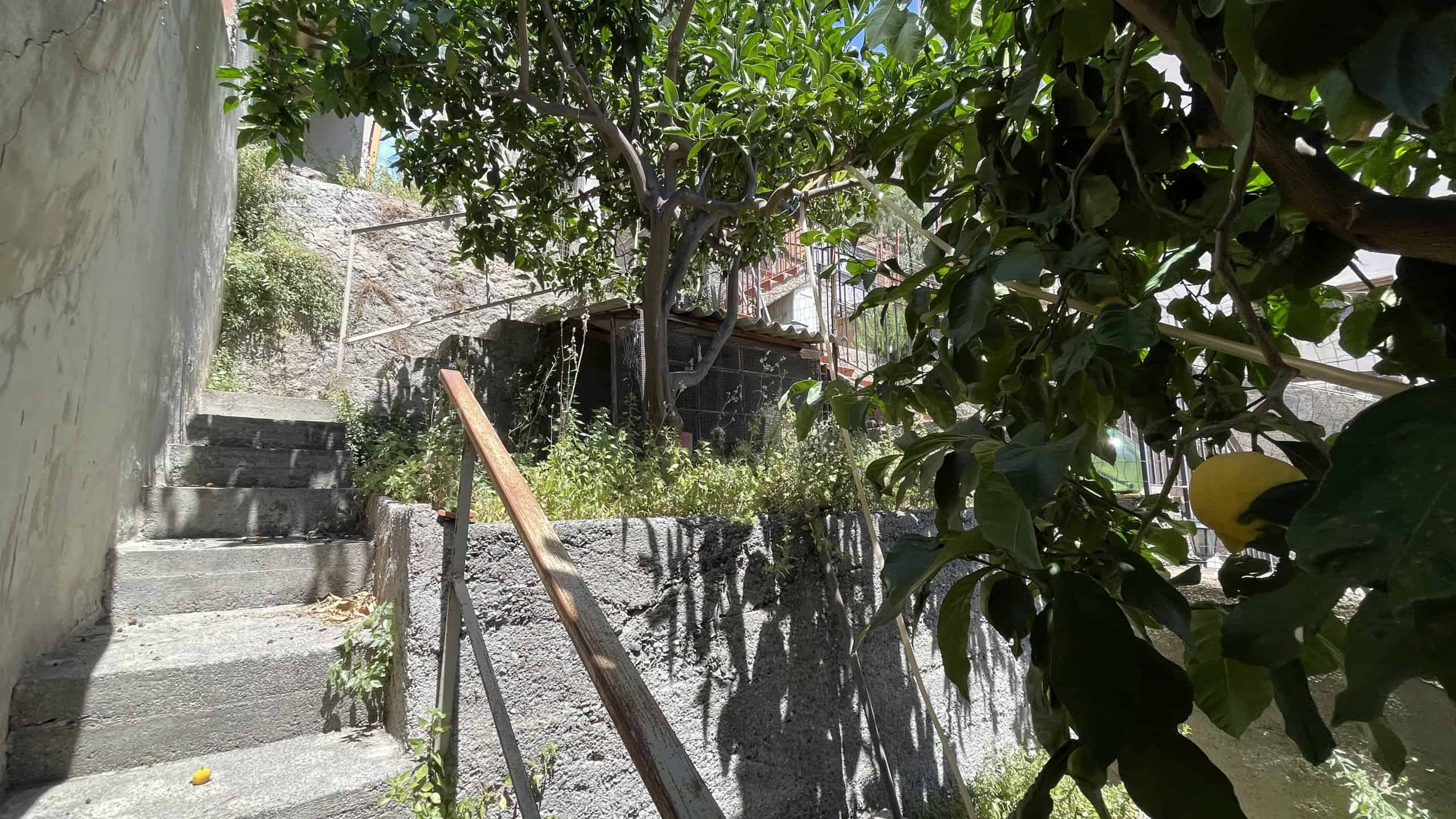 Scorcio di un giardino con scale esterne, piante e alberi, in un contesto residenziale a Scaletta Zanclea, vicino a Via Roma 168.