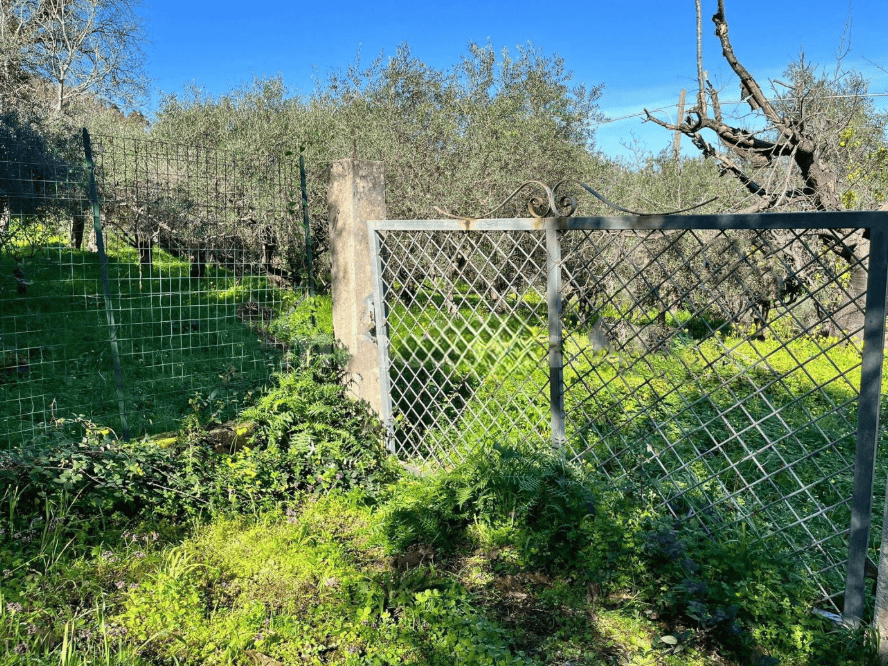 Porte di cancello in metallo con rete, delimitano un giardino verde con piante e alberi sotto un cielo azzurro, in un ambiente rurale o residenziale.