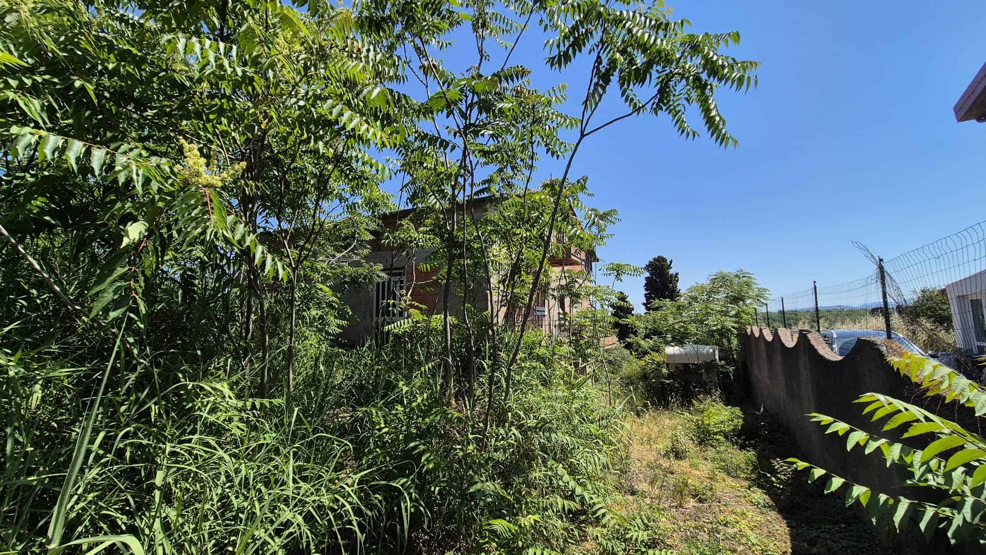 Spiaggia di un giardino verdeggiante con piante alte e cespugli, sotto un cielo azzurro, con una casa in lontananza e una recinzione in rete metallica.