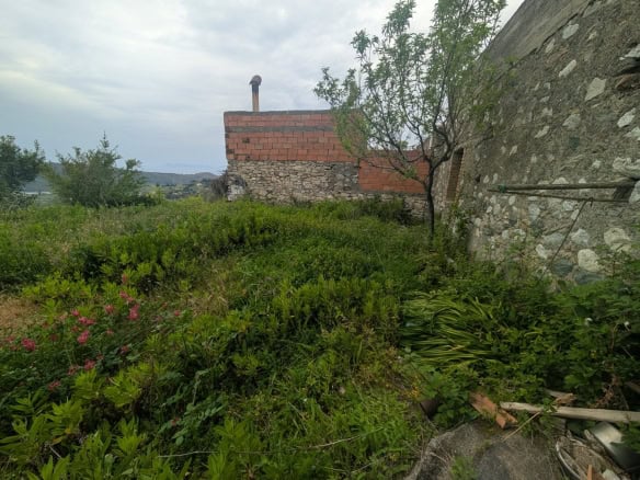 Terreno incolto con vegetazione e muro di pietra, ideale per progetti di ristrutturazione o giardinaggio, vicino a una casa in stile rustico.