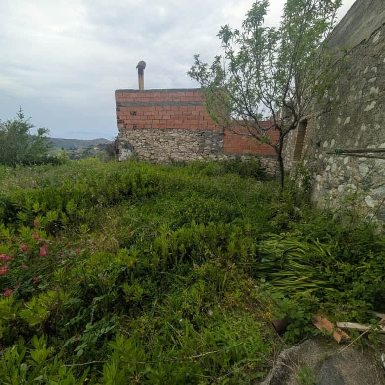 Terreno incolto con vegetazione e muro di pietra, ideale per progetti di ristrutturazione o giardinaggio, vicino a una casa in stile rustico.