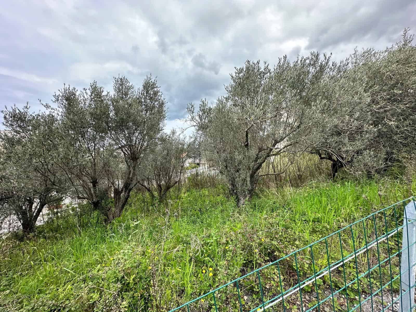 Terreno edificabile con olivi e vegetazione verde in vendita a Barcellona P.G., Me.