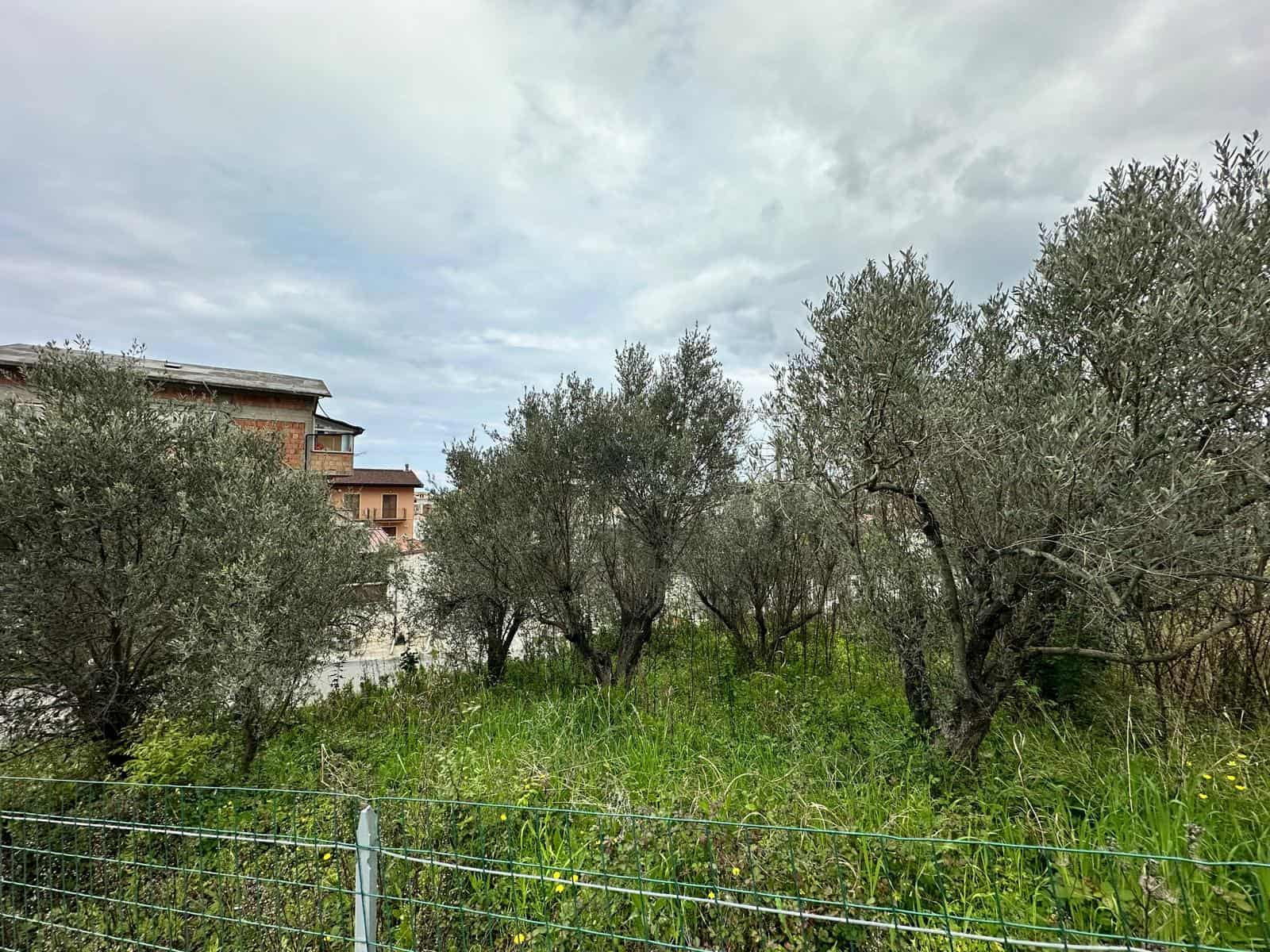 Terreno edificabile con alberi di ulivo e vegetazione verde in vendita a Barcellona P.G.