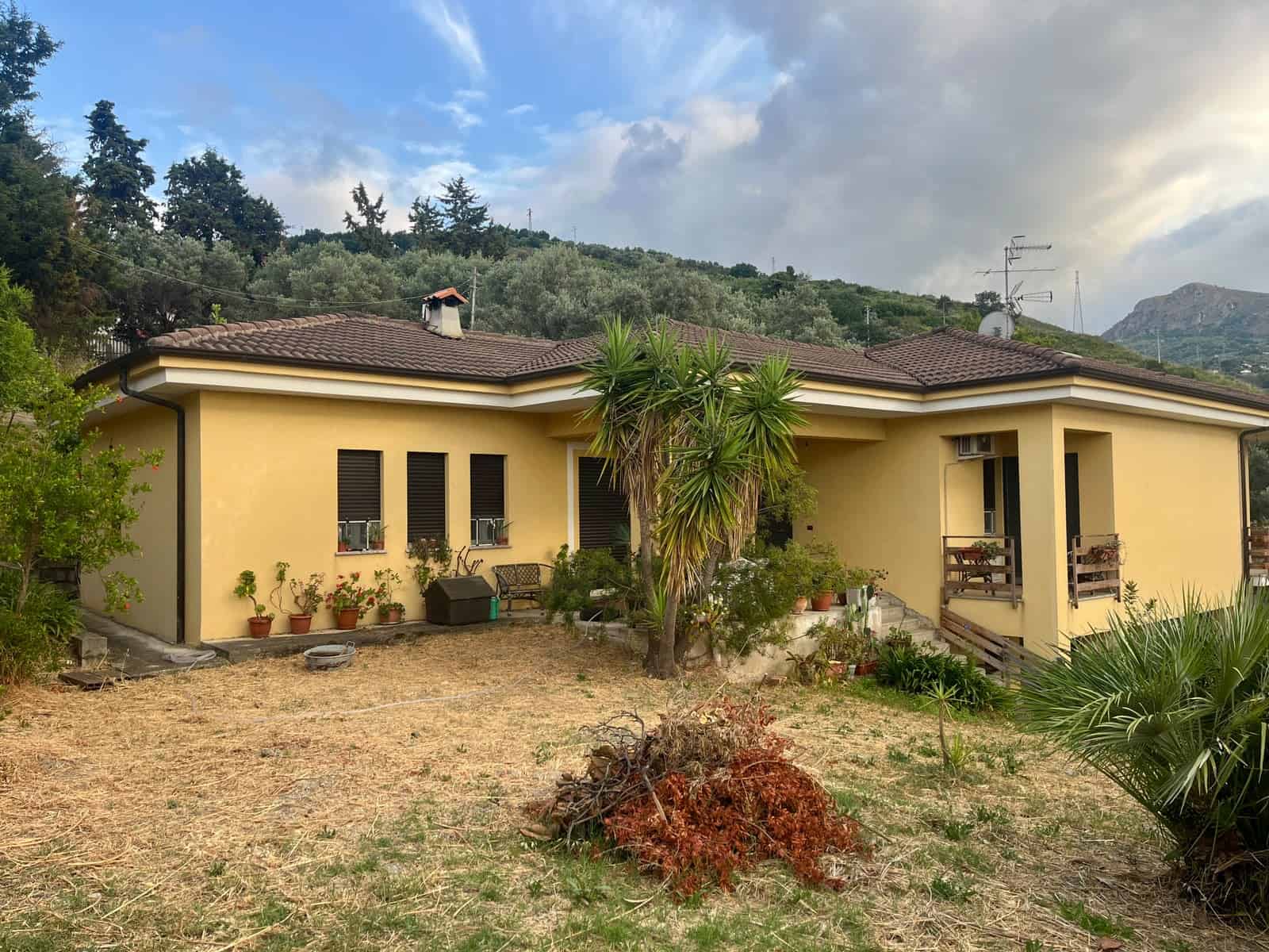 Ampia casa singola in stile mediterraneo con giardino curato, piante tropicali e terrazza panoramica, ideale per vivere in tranquillità e godere di spazi esterni luminosi e accoglienti.
