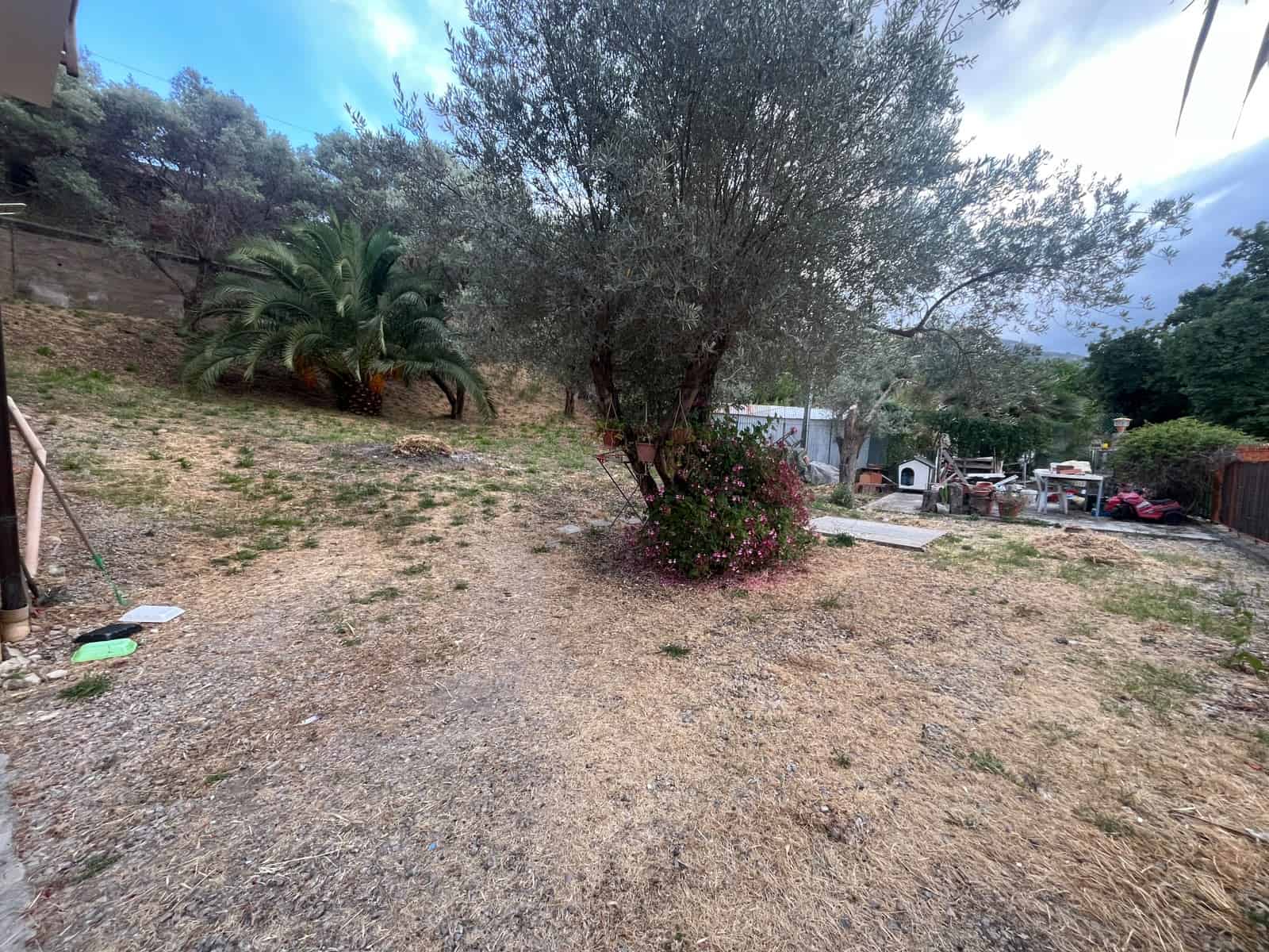 Giardino con piante e alberi, area esterna di una proprietà residenziale, con vegetazione mediterranea e spazio aperto, ideale per relax e attività all'aperto.
