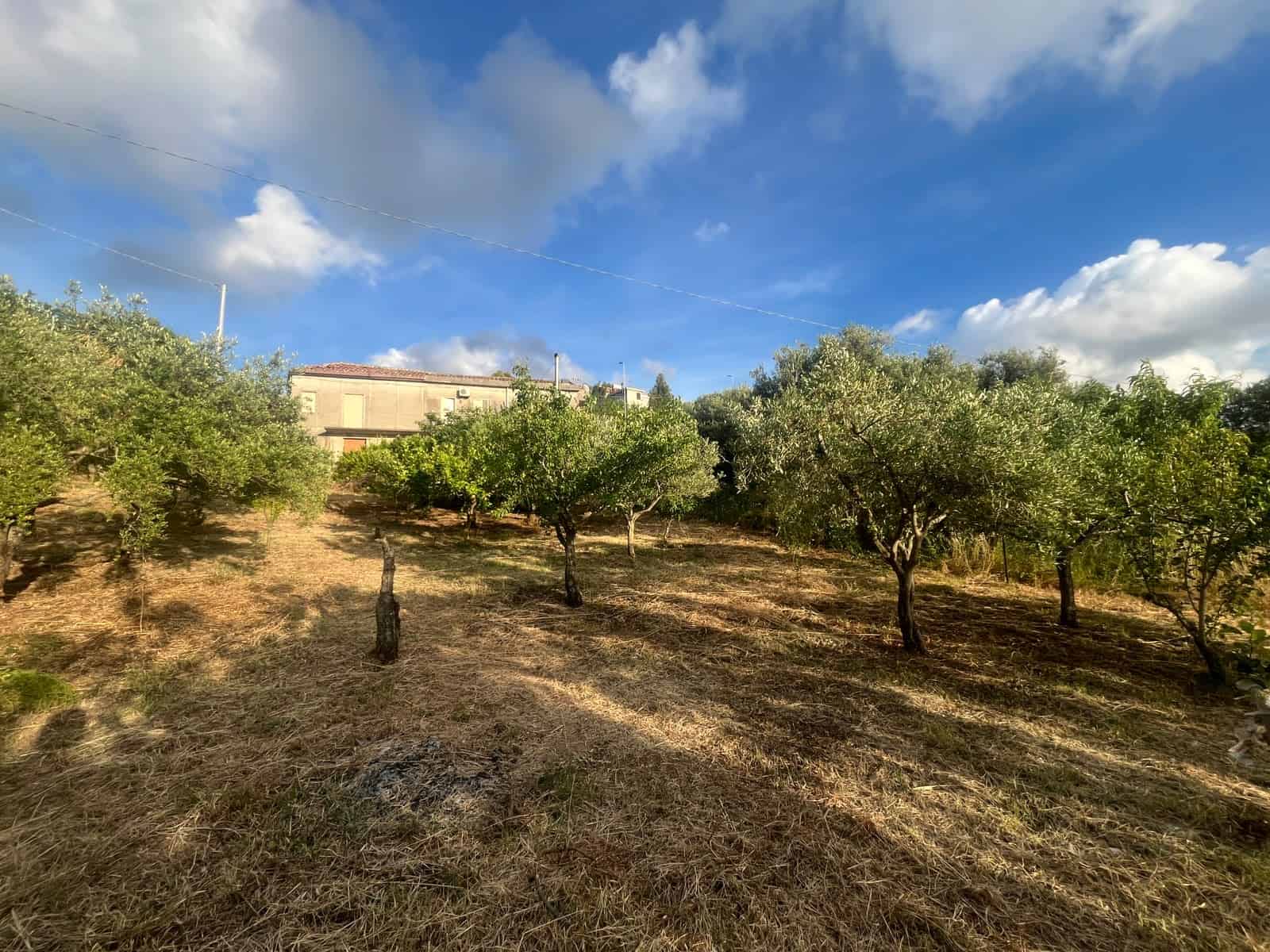 Casa semindipendente in vendita in C.da San Leonardo, Gioiosa Marea, Me