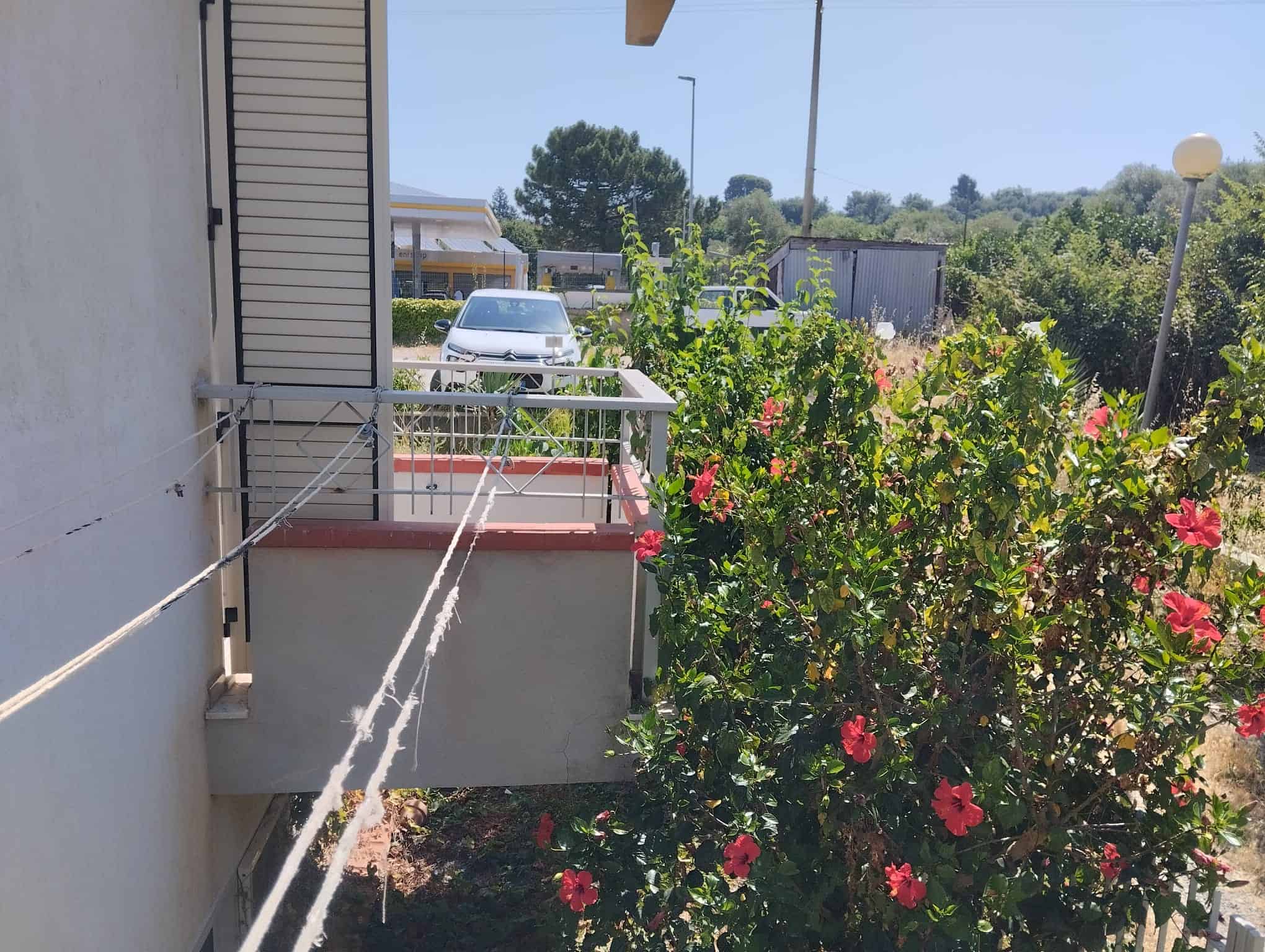 Balcone di un appartamento con vista su un giardino con fiori rosa e strada con auto in background.