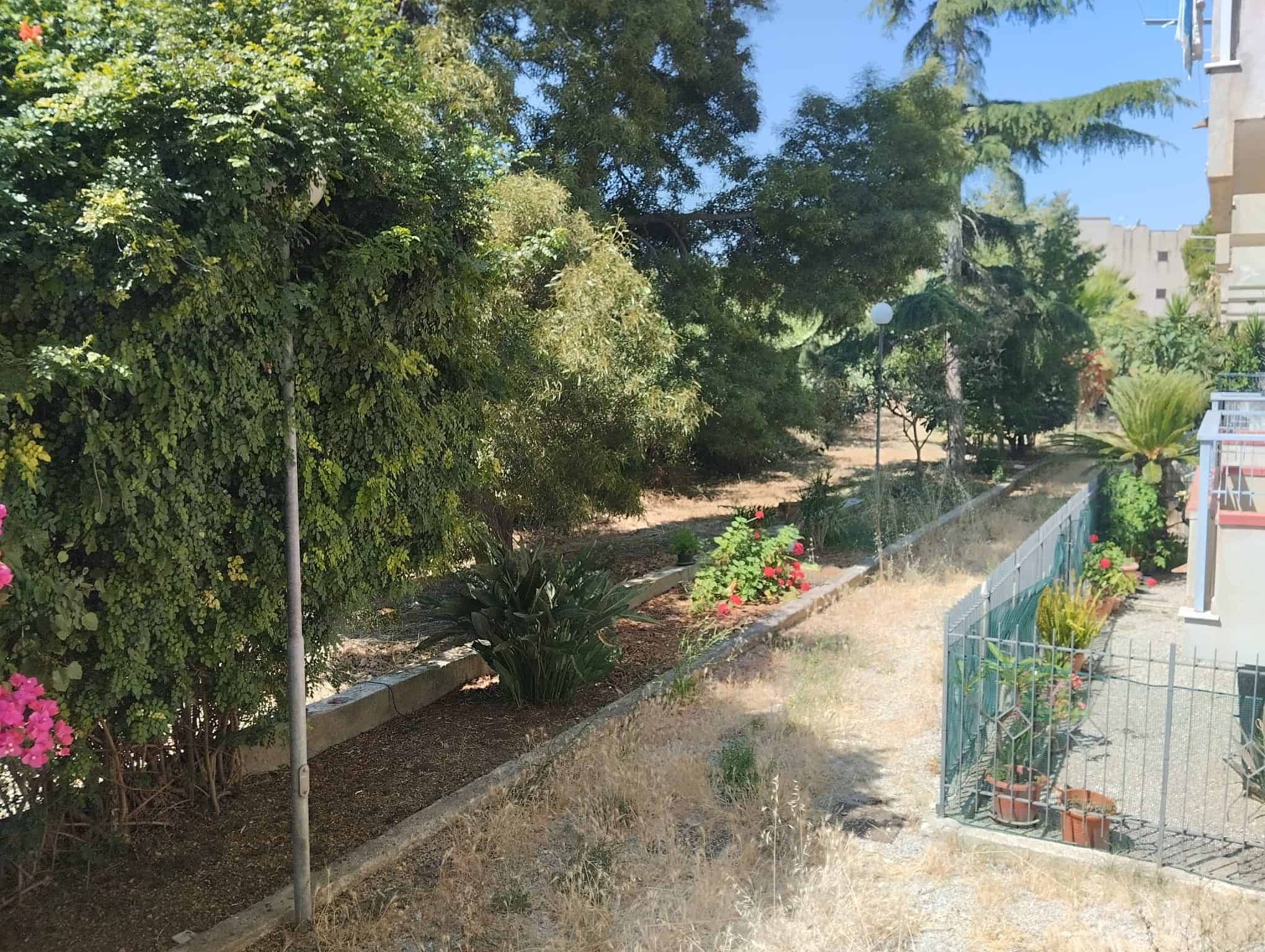 Giardino condominiale con piante e alberi, vista su strada e edificio residenziale in background.