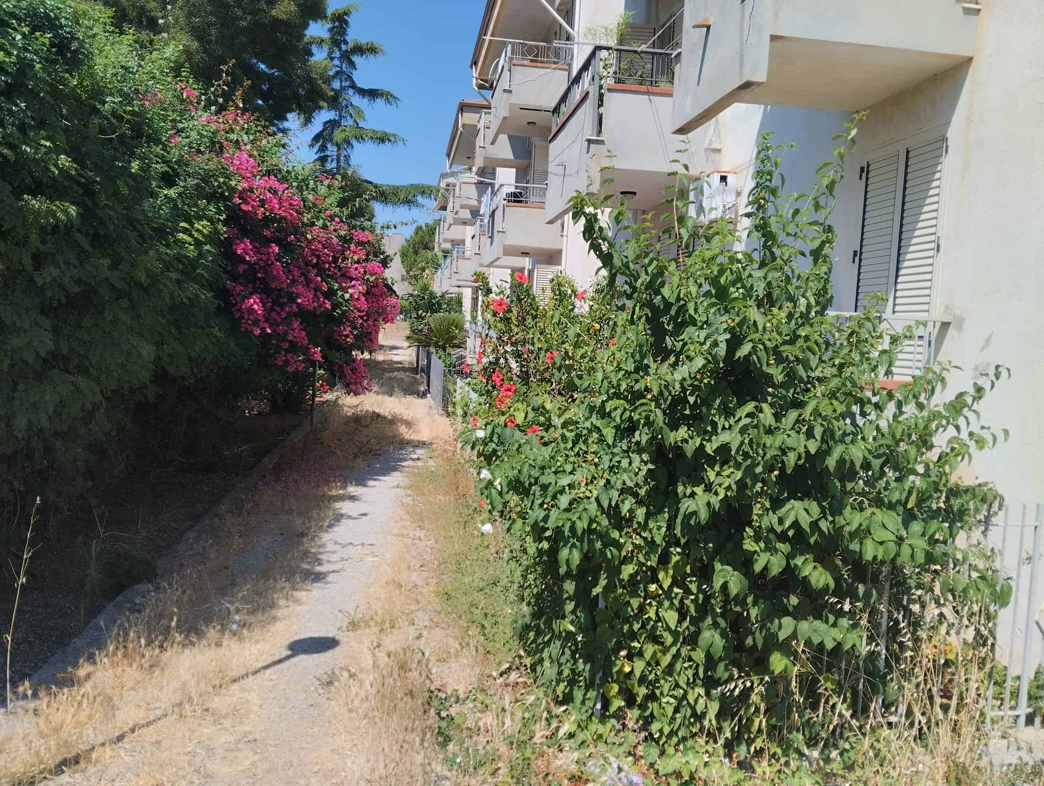 Viale alberato con piante e fiori vicino a un edificio residenziale in vendita a Acquedolci, Me.