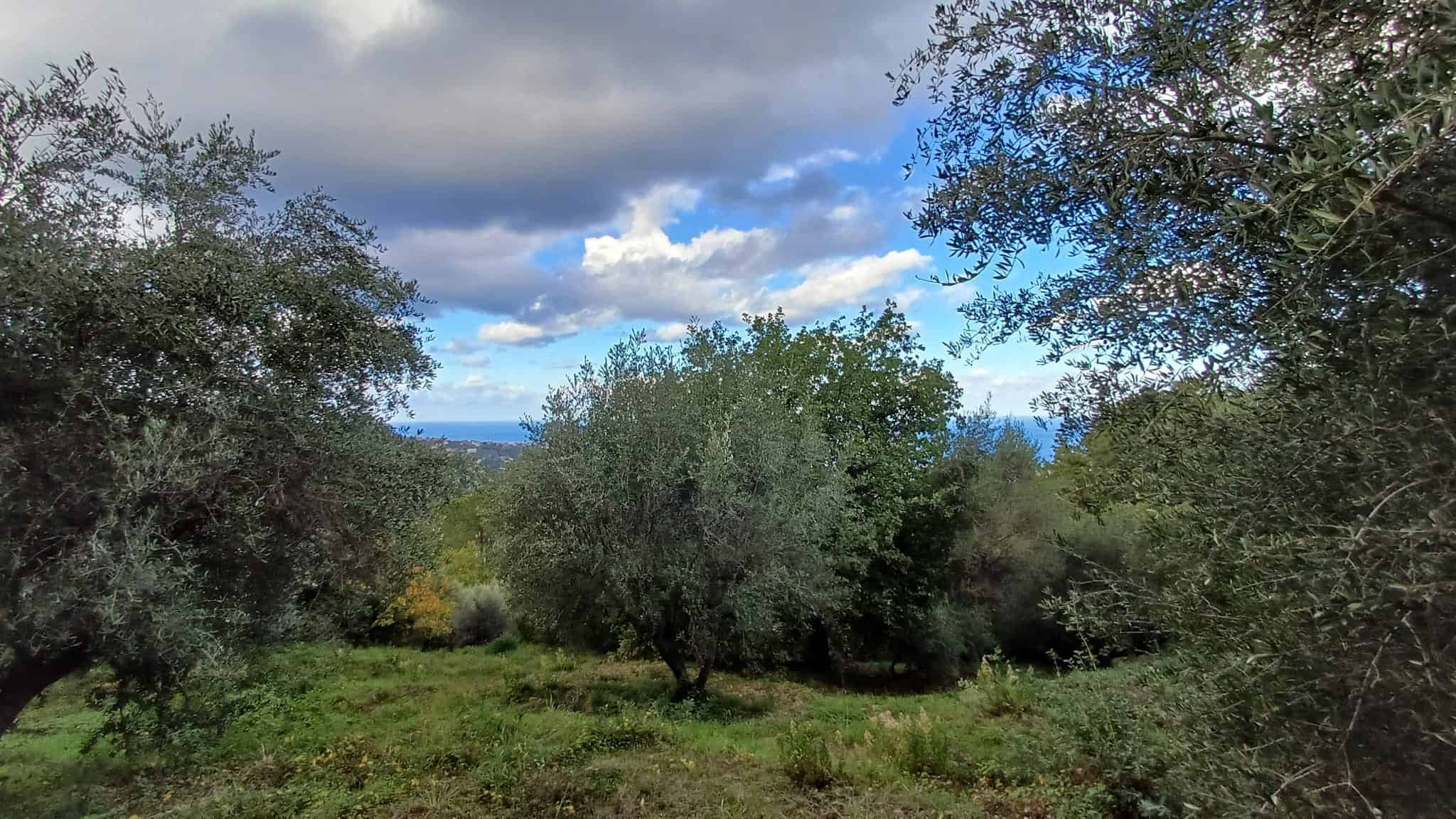 Paesaggio naturale con alberi e cielo nuvoloso, vista su terreno edificabile in vendita a Capo d'Orlando, Me.