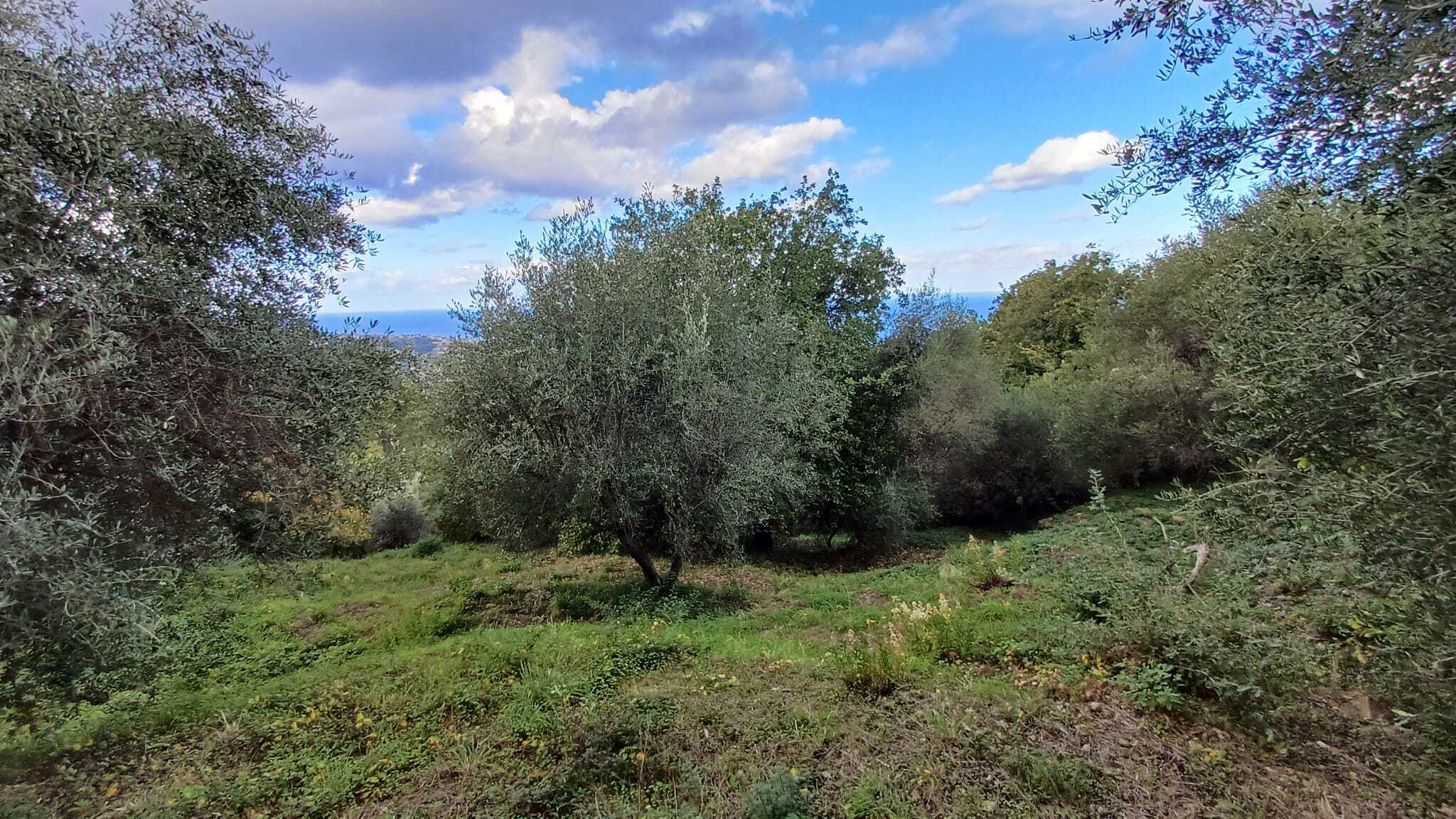 Terreno edificabile in vendita a Capo d'Orlando con vista panoramica sulla natura circostante e il mare in lontananza.