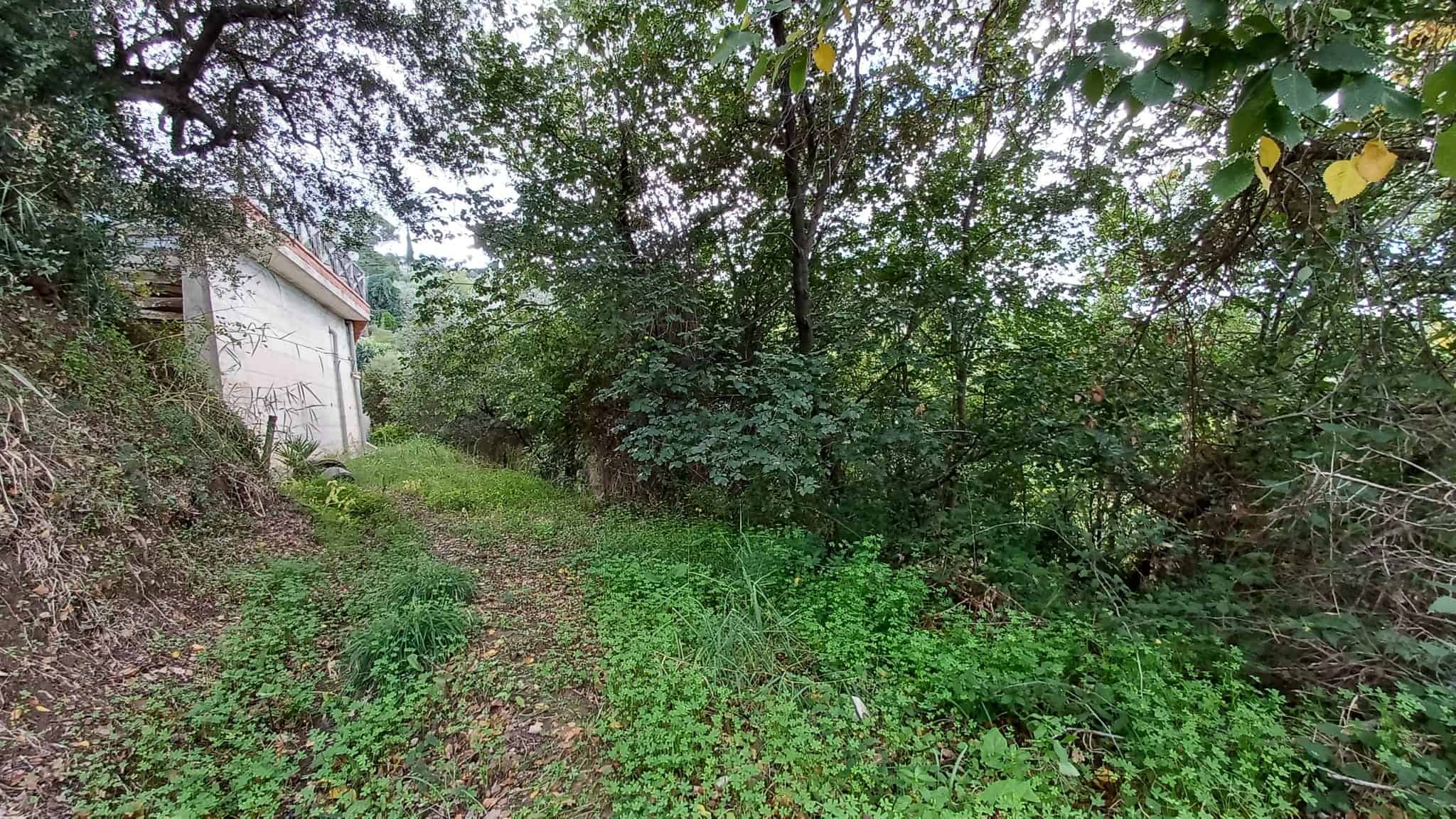 Terreno edificabile in vendita a Capo d'Orlando con vegetazione naturale e accesso tramite strada sterrata.