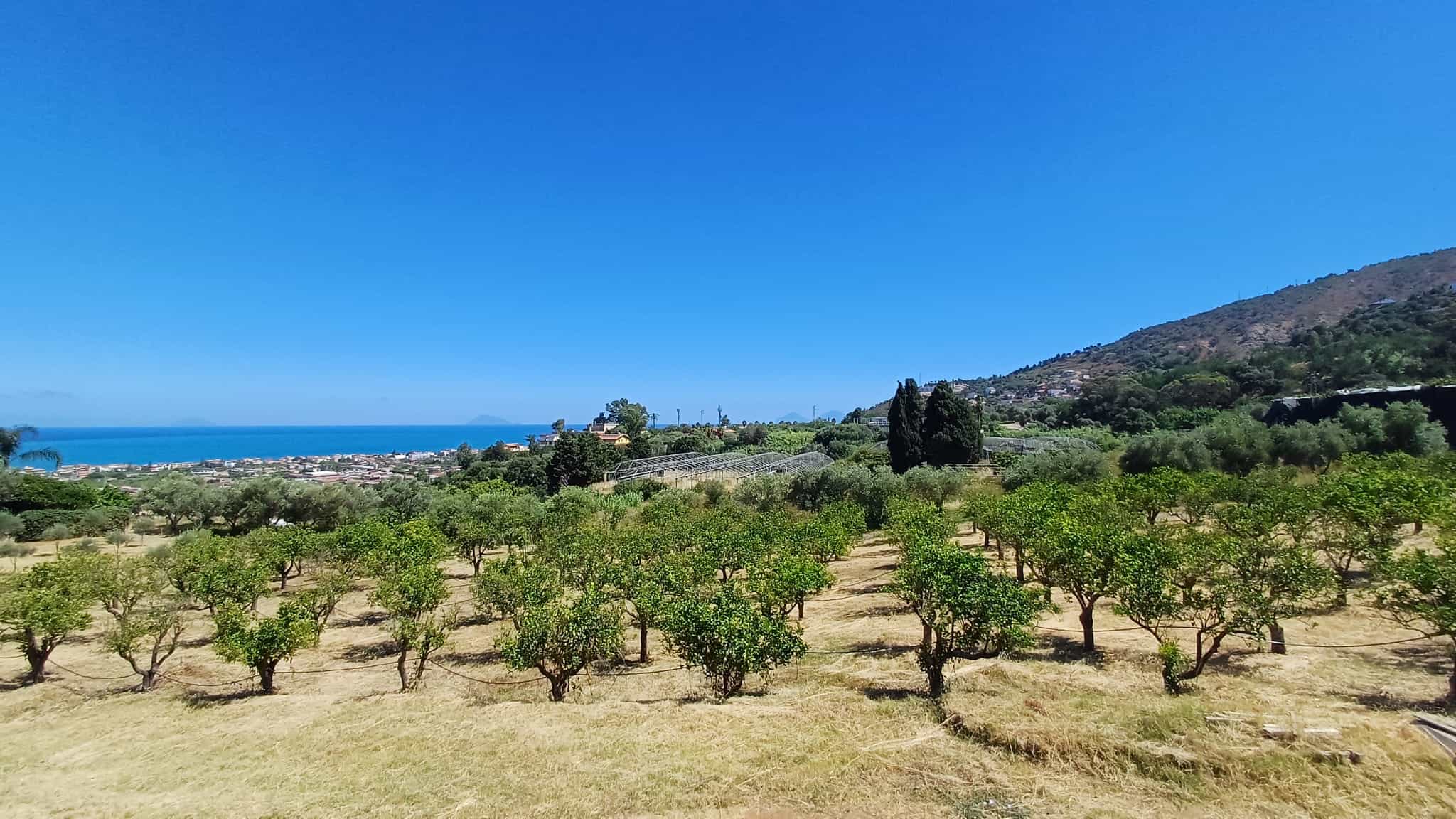 Terreno agricolo in vendita a Capo d'Orlando con vista mare e montagna, ideale per investimento o agricoltura.