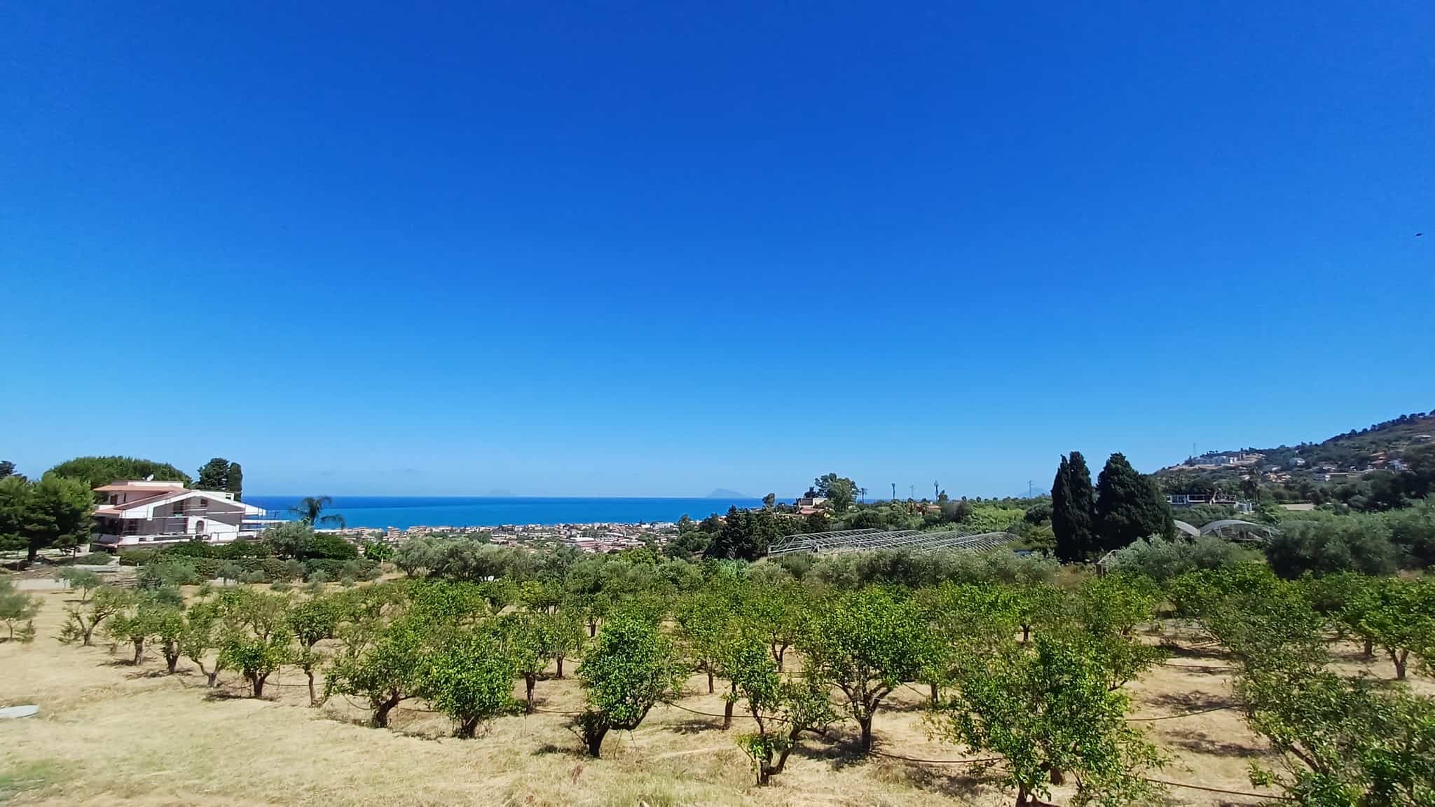 Paesaggio rurale con vigneti, vista mare e cielo azzurro in Sicilia vicino Capo d'Orlando.