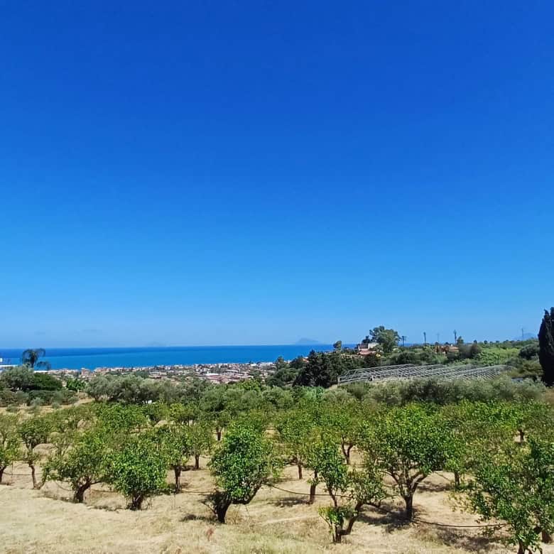 Terreno agricolo con vista mare a Capo d'Orlando, Sicilia, in vendita.